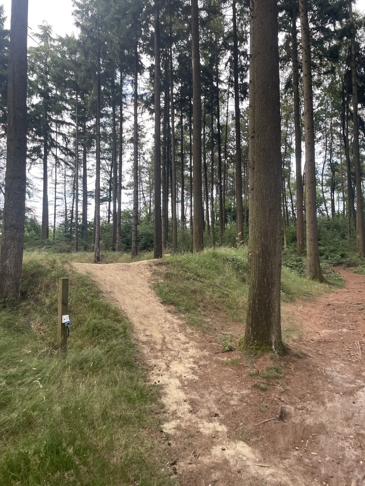 Camping Downhill trail photo 5