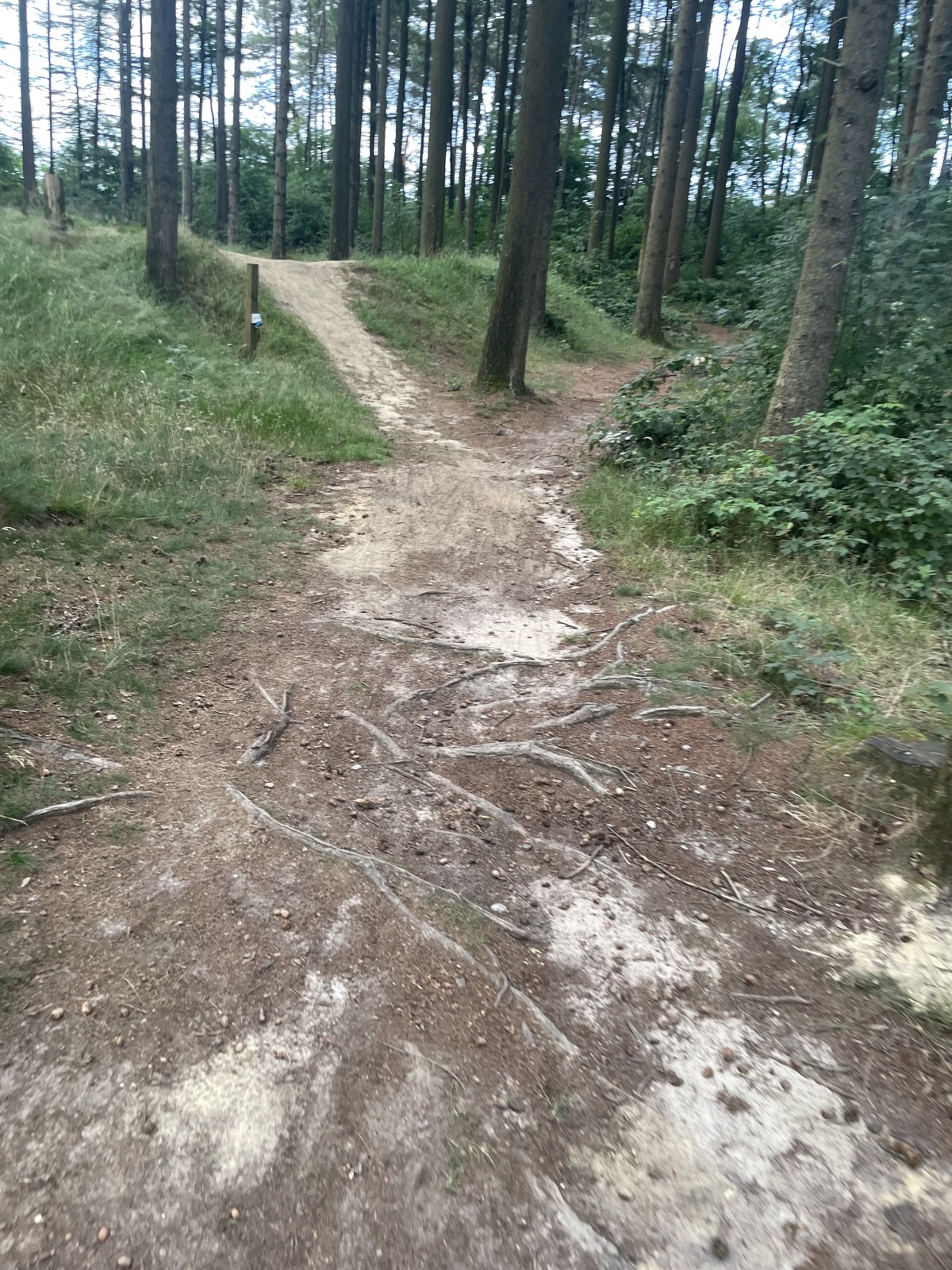 Camping Downhill trail photo 2