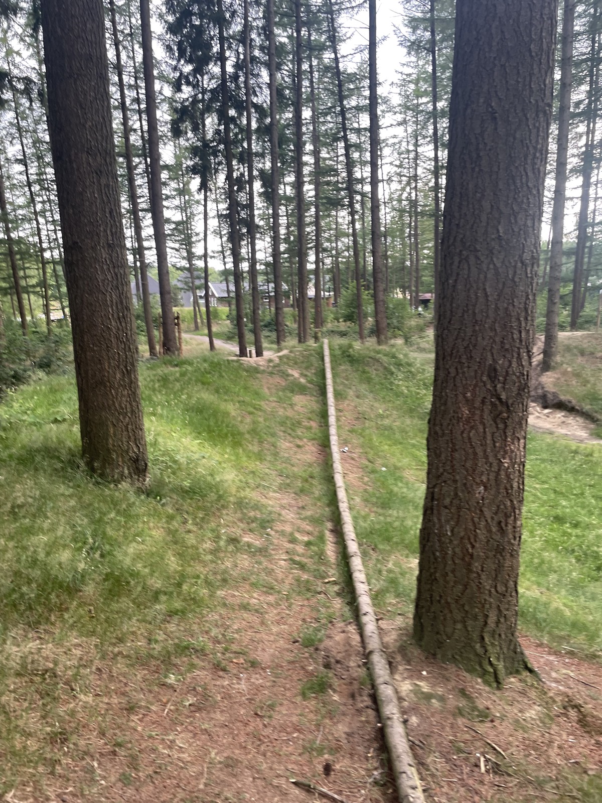 Camping Downhill trail photo 3