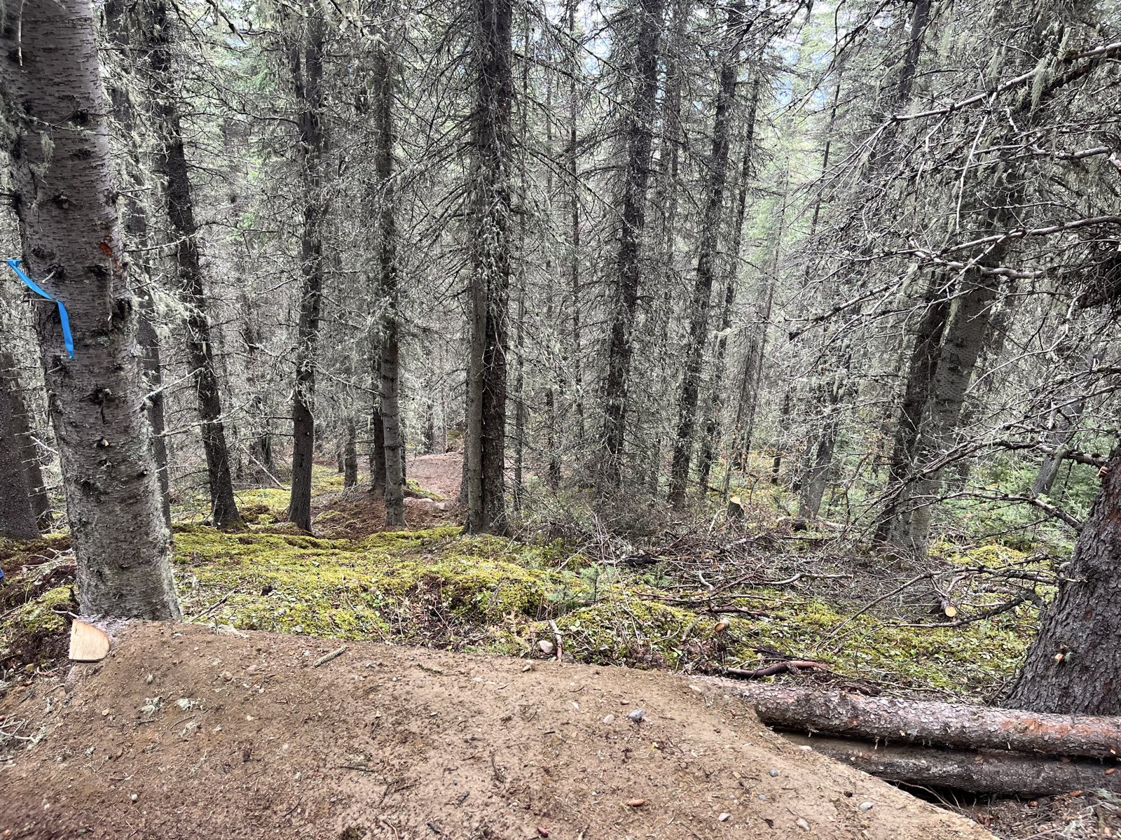 Green Dragon trail photo 5