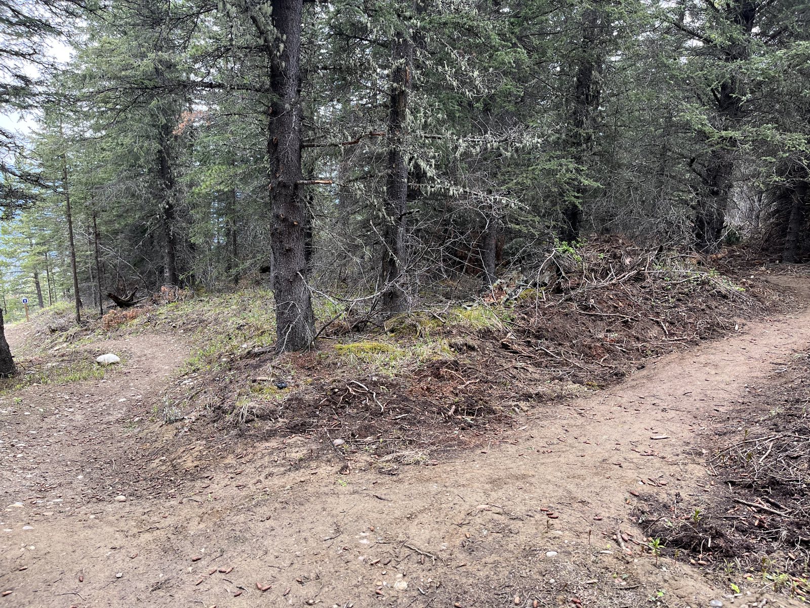 Green Dragon trail photo 4