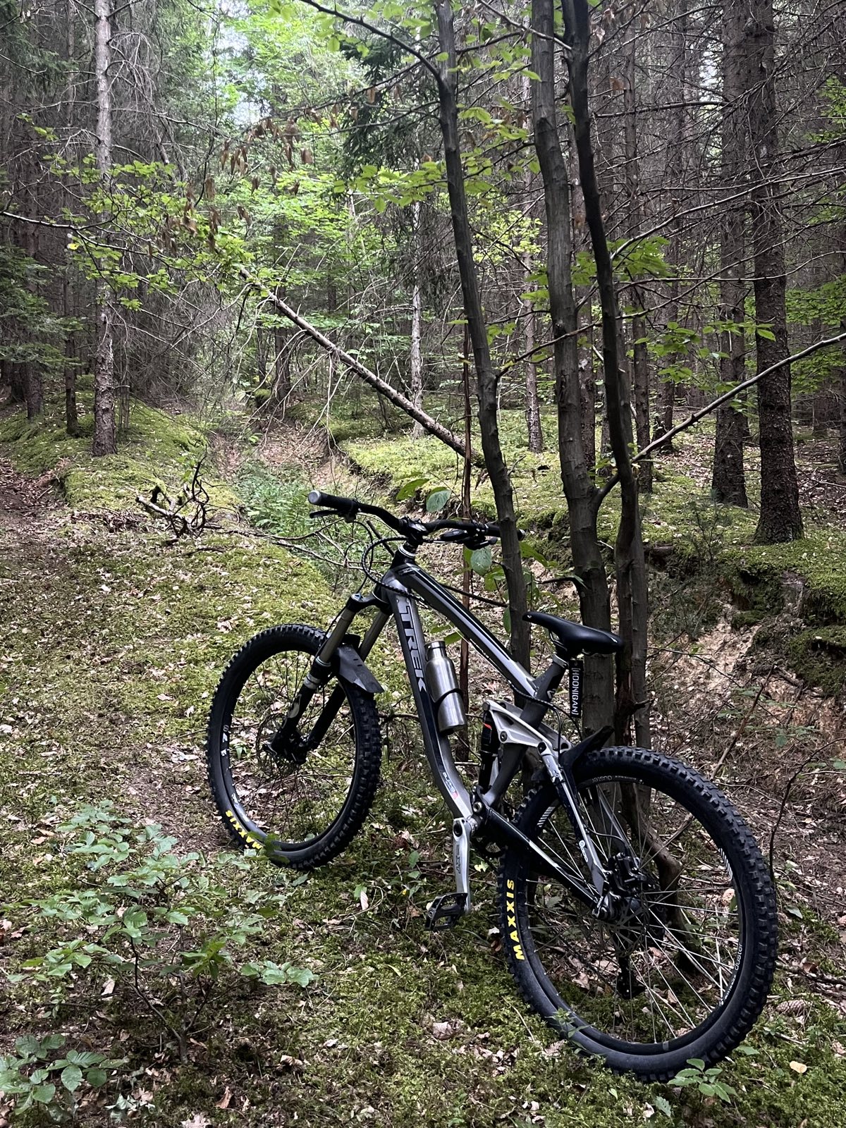 vizmosasos trail photo 2