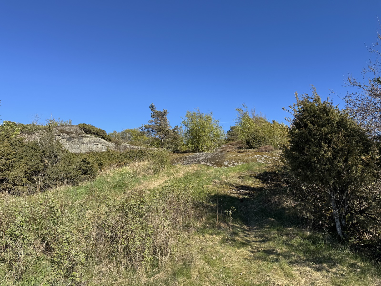 Short technical climb trail photo 2