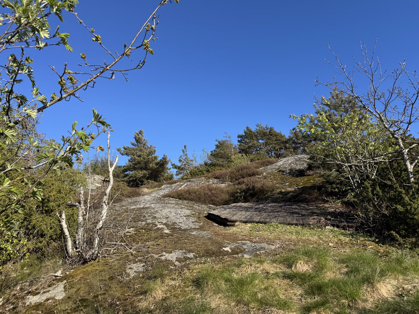 Short technical climb trail photo 3