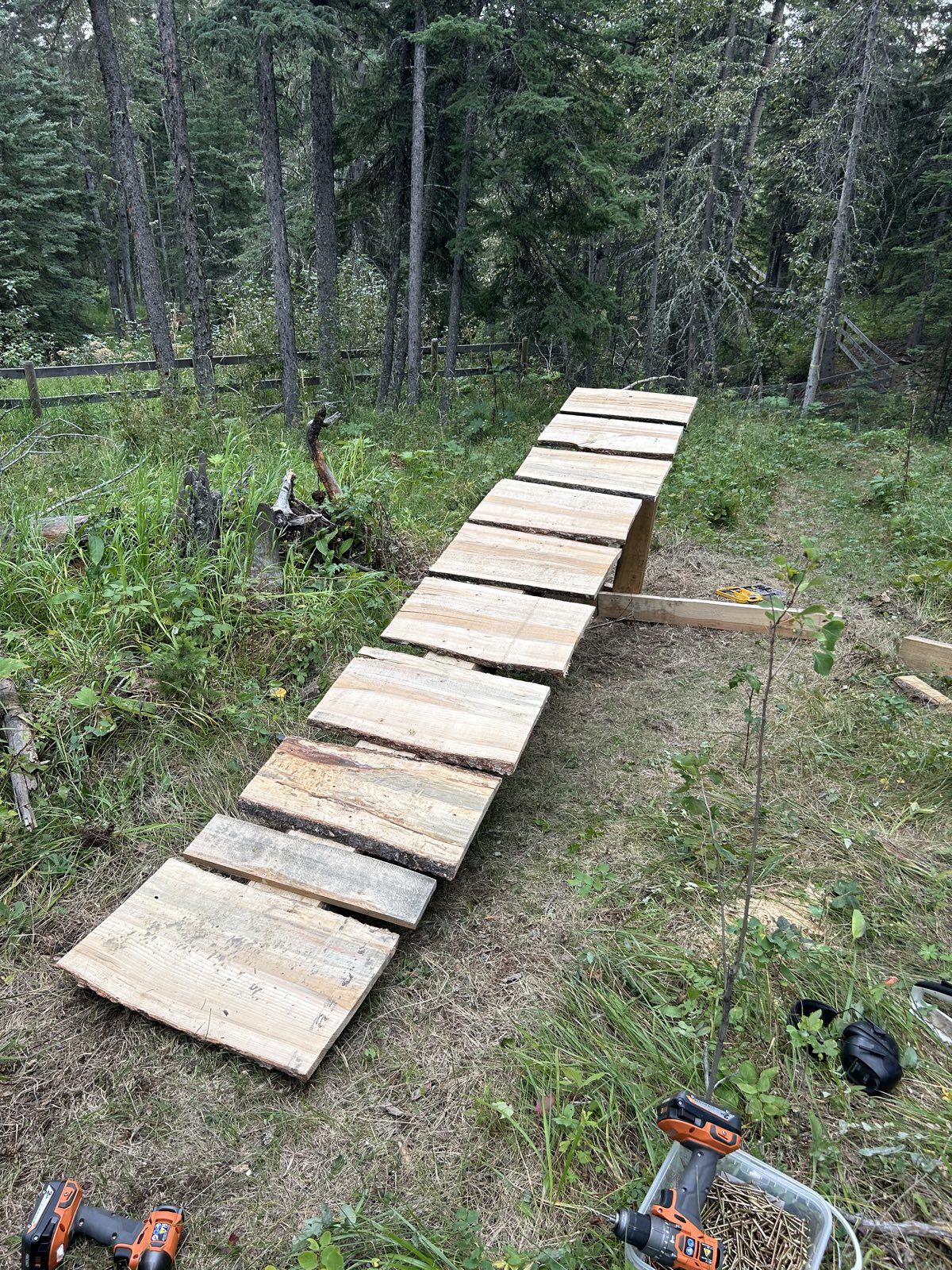 Ridge Line (middle way) trail photo 5