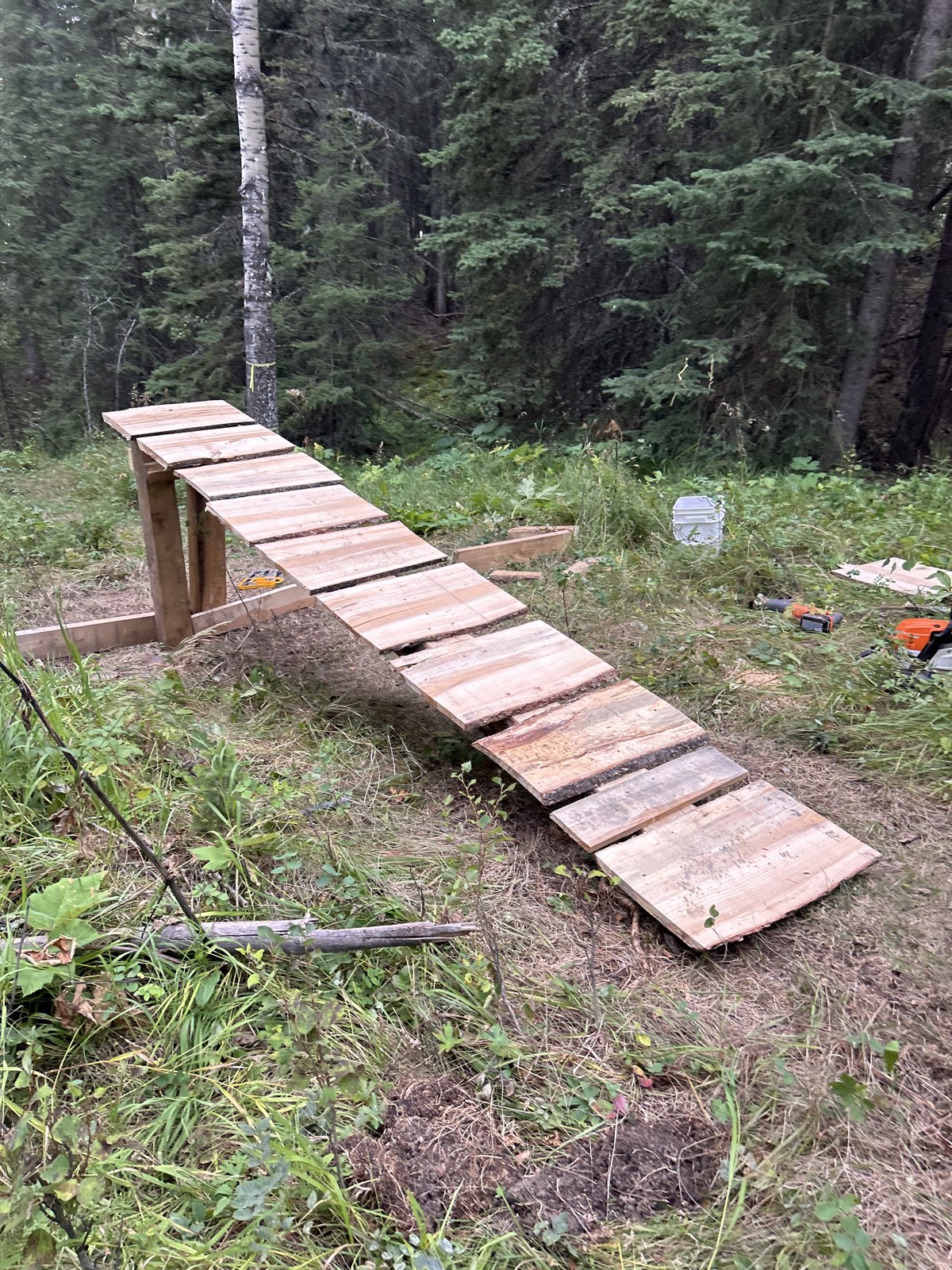 Ridge Line (middle way) trail photo 4