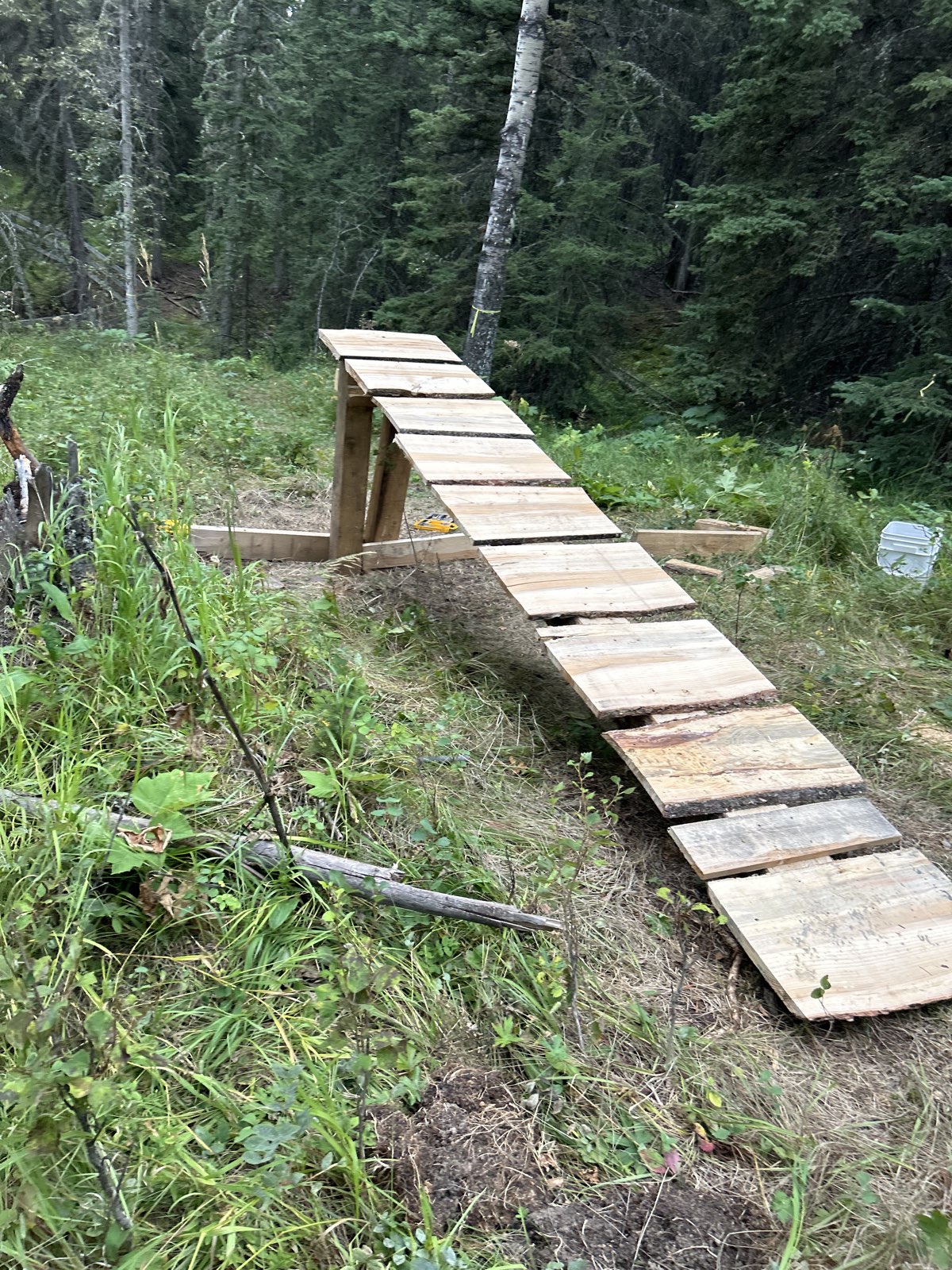 Ridge Line (middle way) trail photo 3