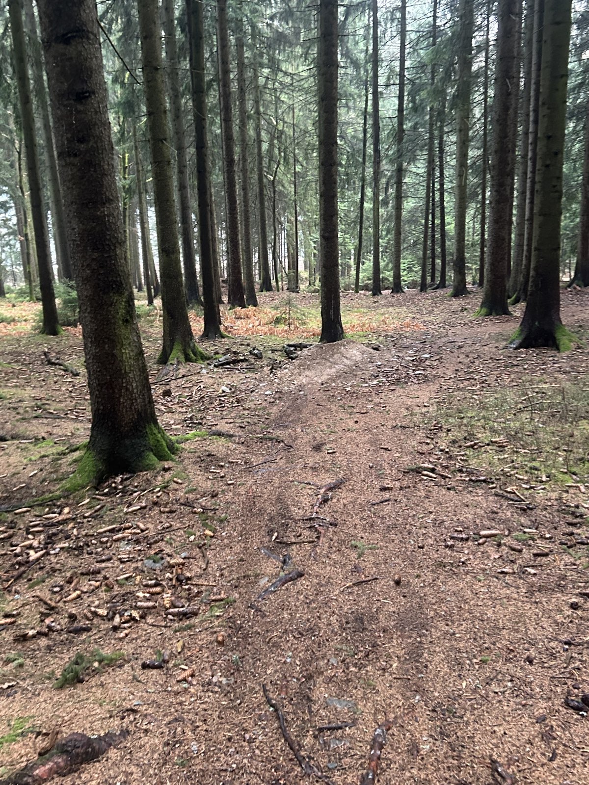 Lower Enduro trail photo 3