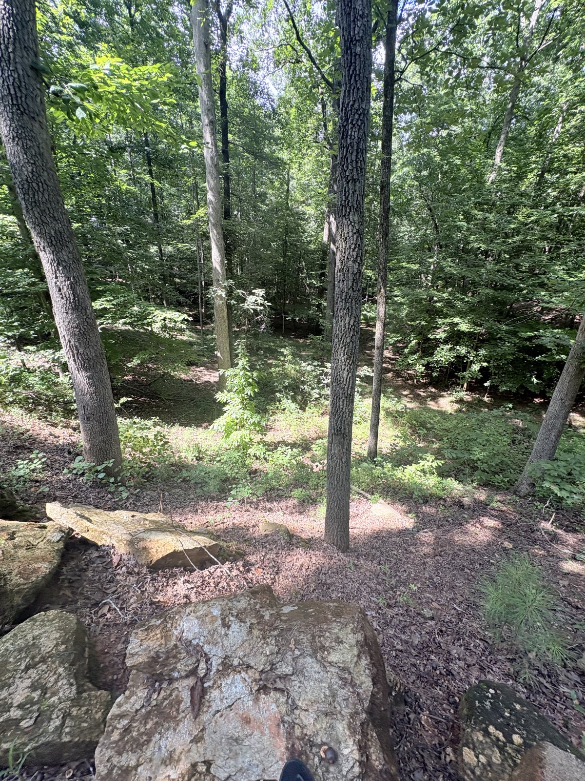 Deer root city trail photo 3