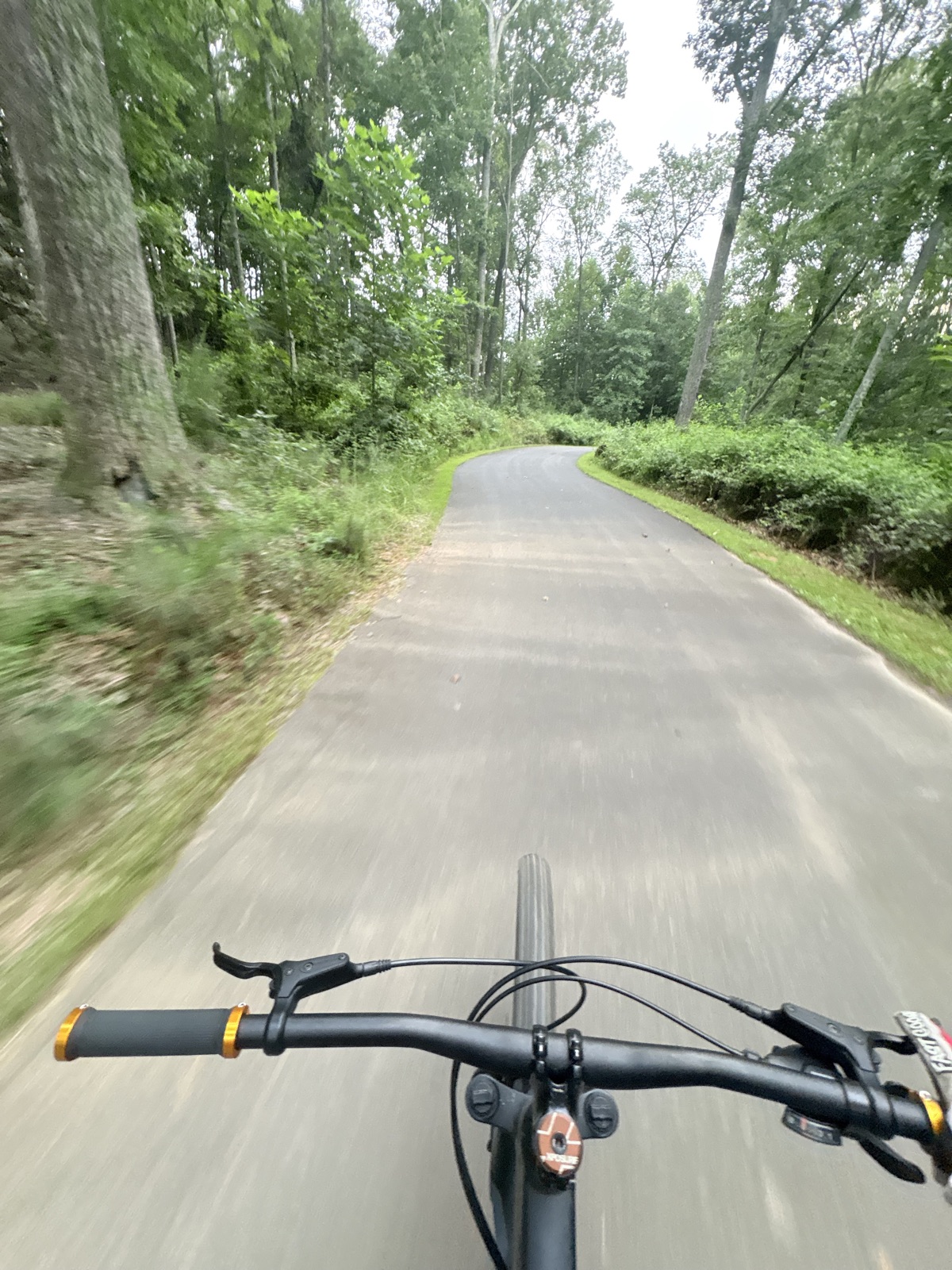 Deer root city trail photo 2