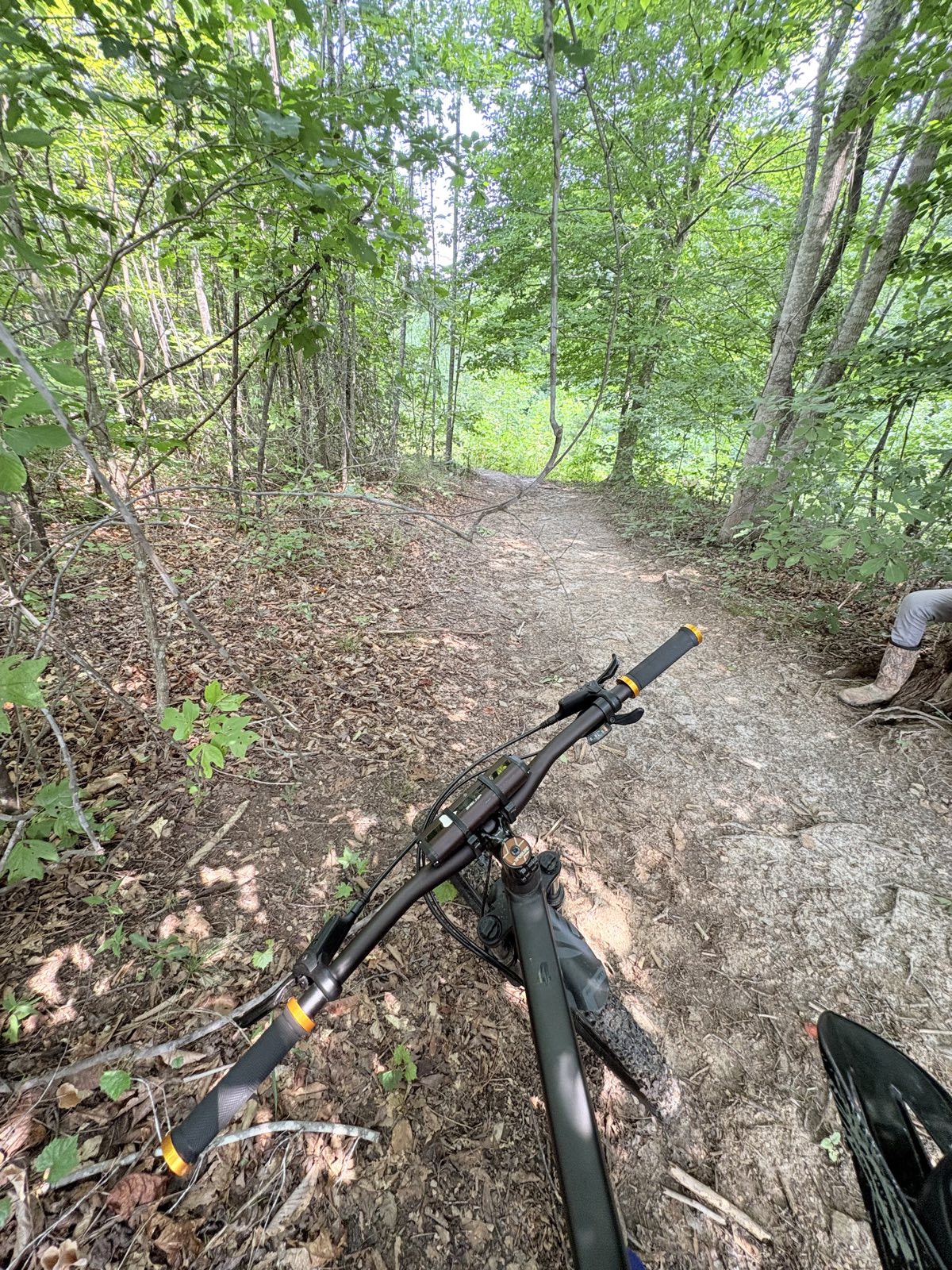 Deer root city trail photo 5