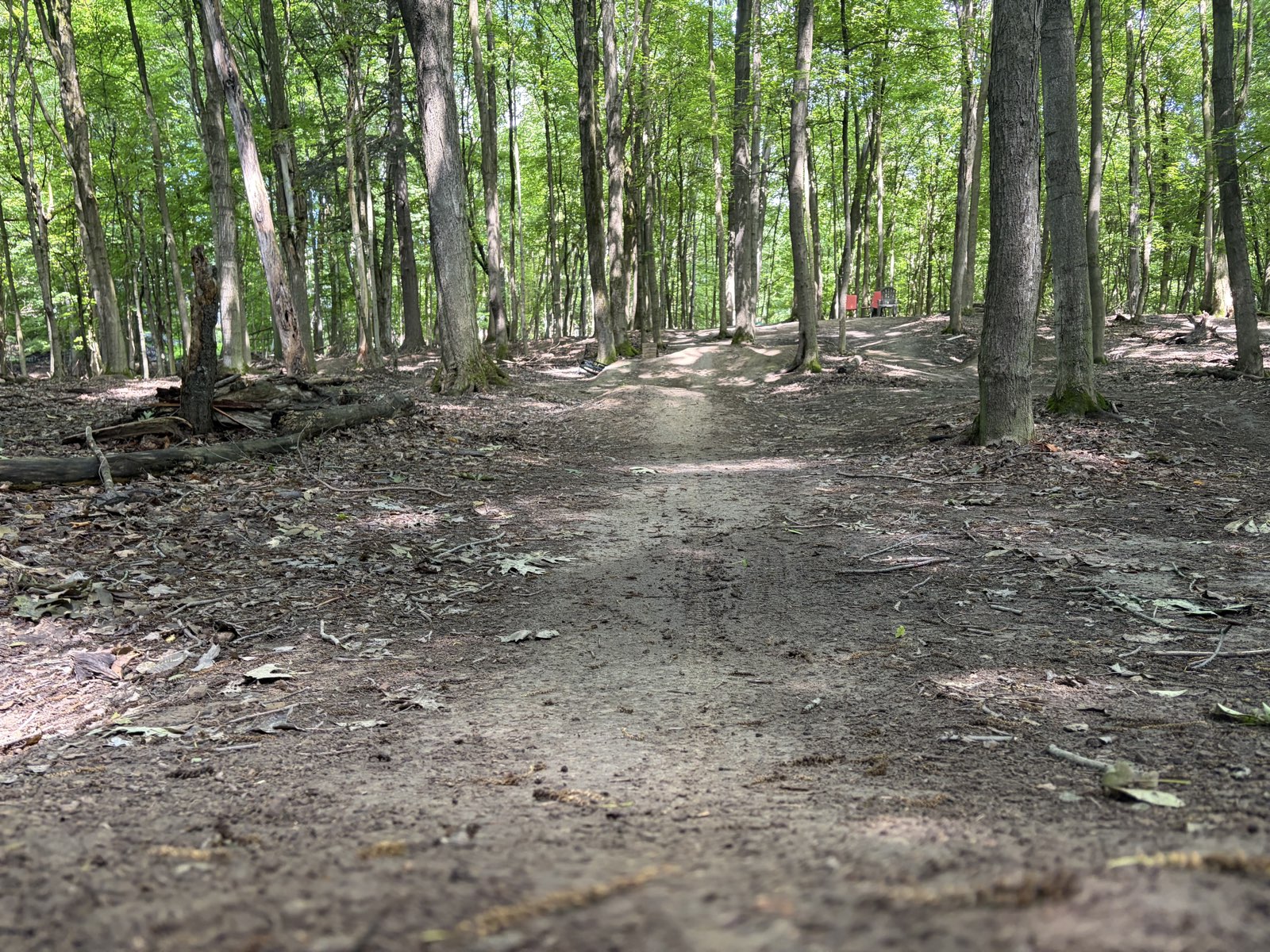 The Trails trail photo 2