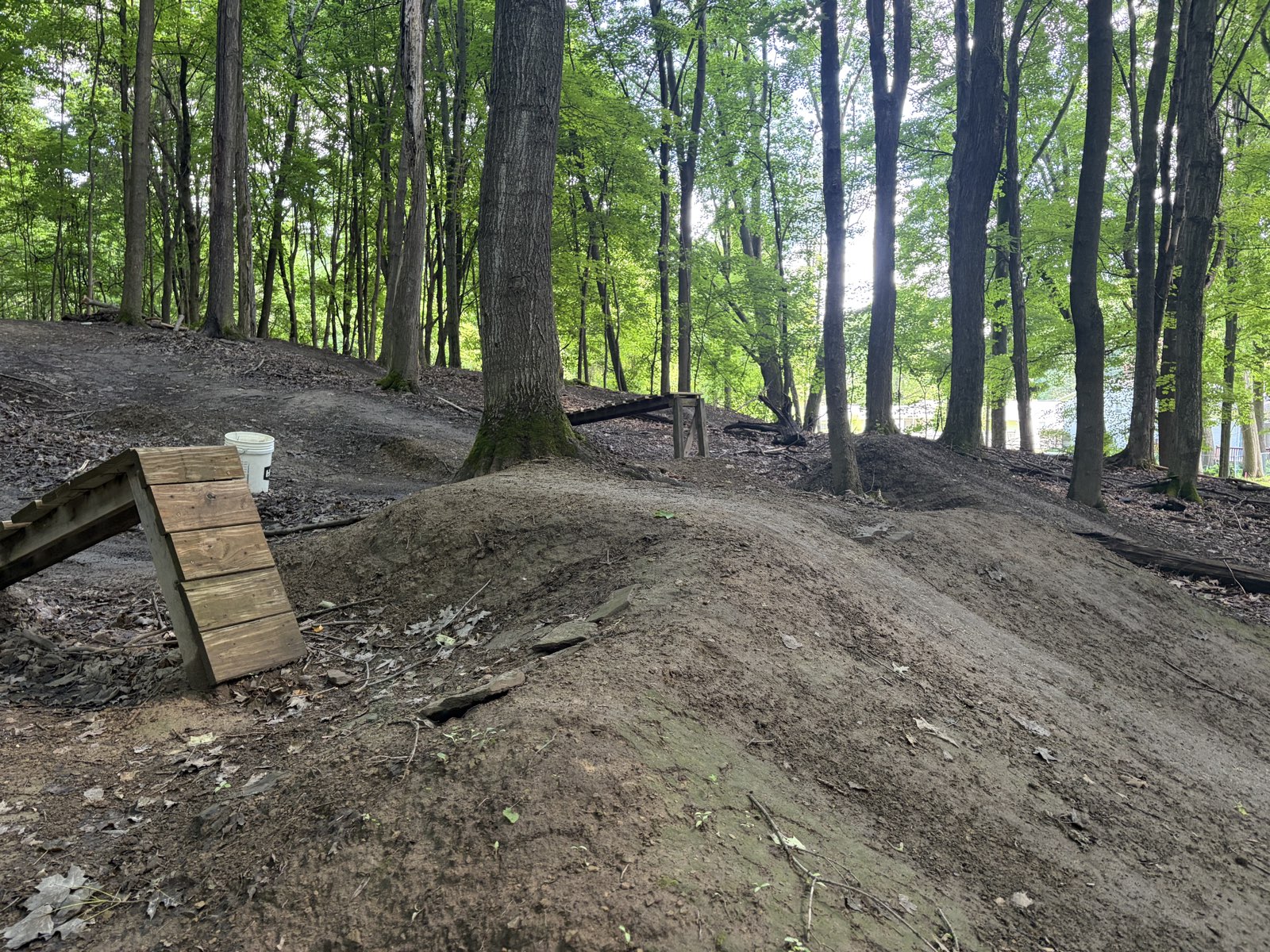 The Trails trail photo 3