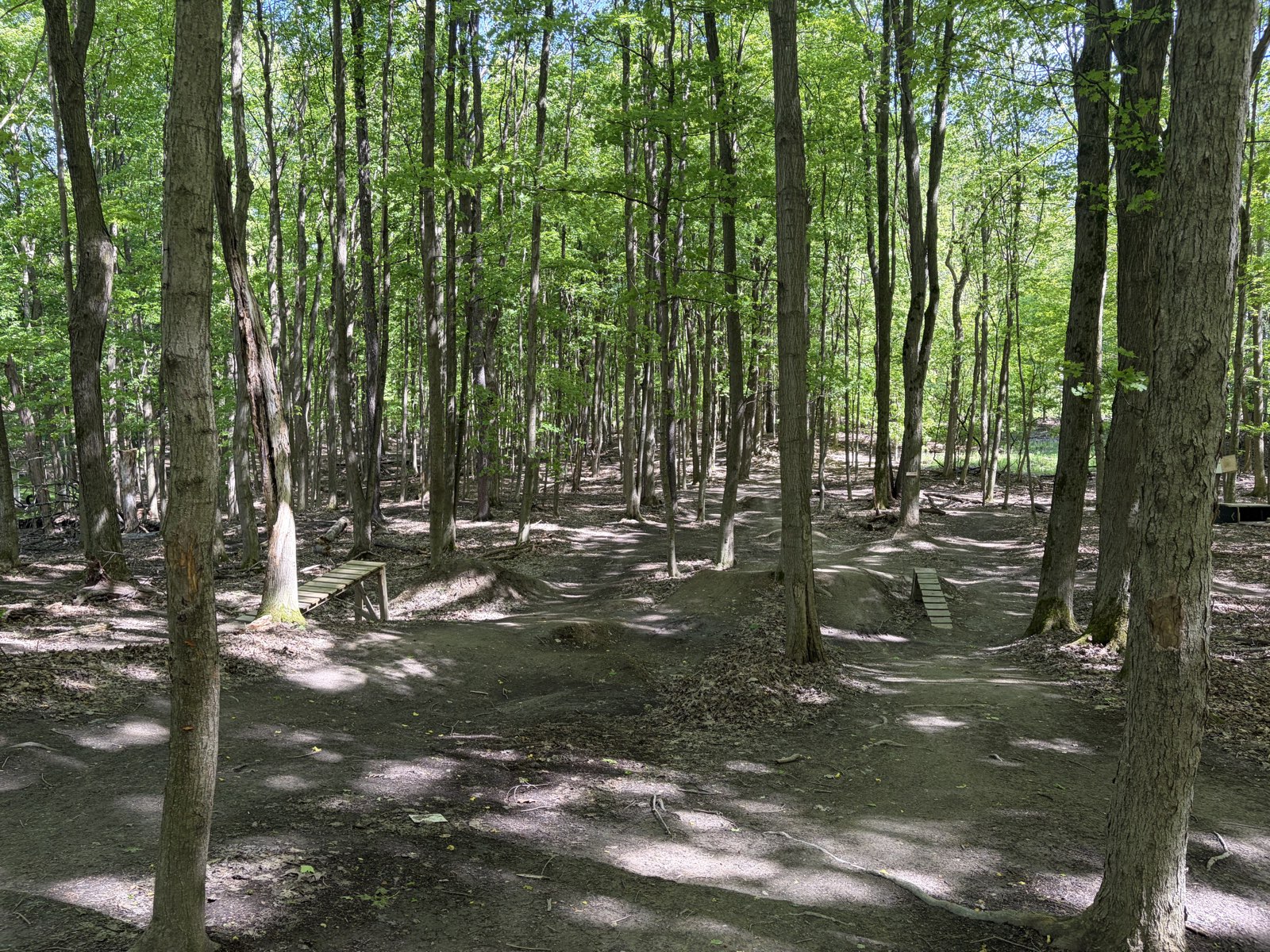 The Trails trail photo 5