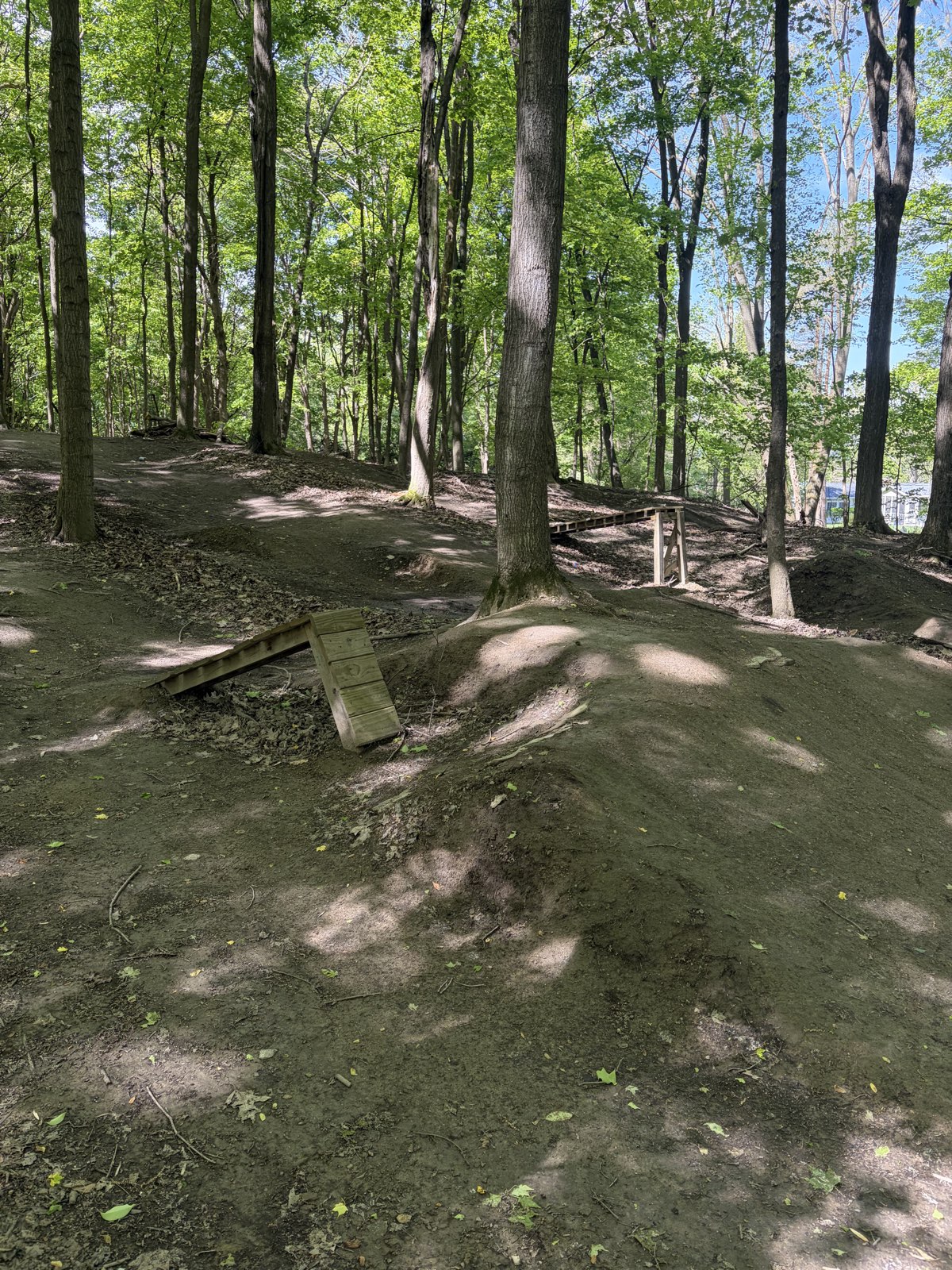 The Trails trail photo 4