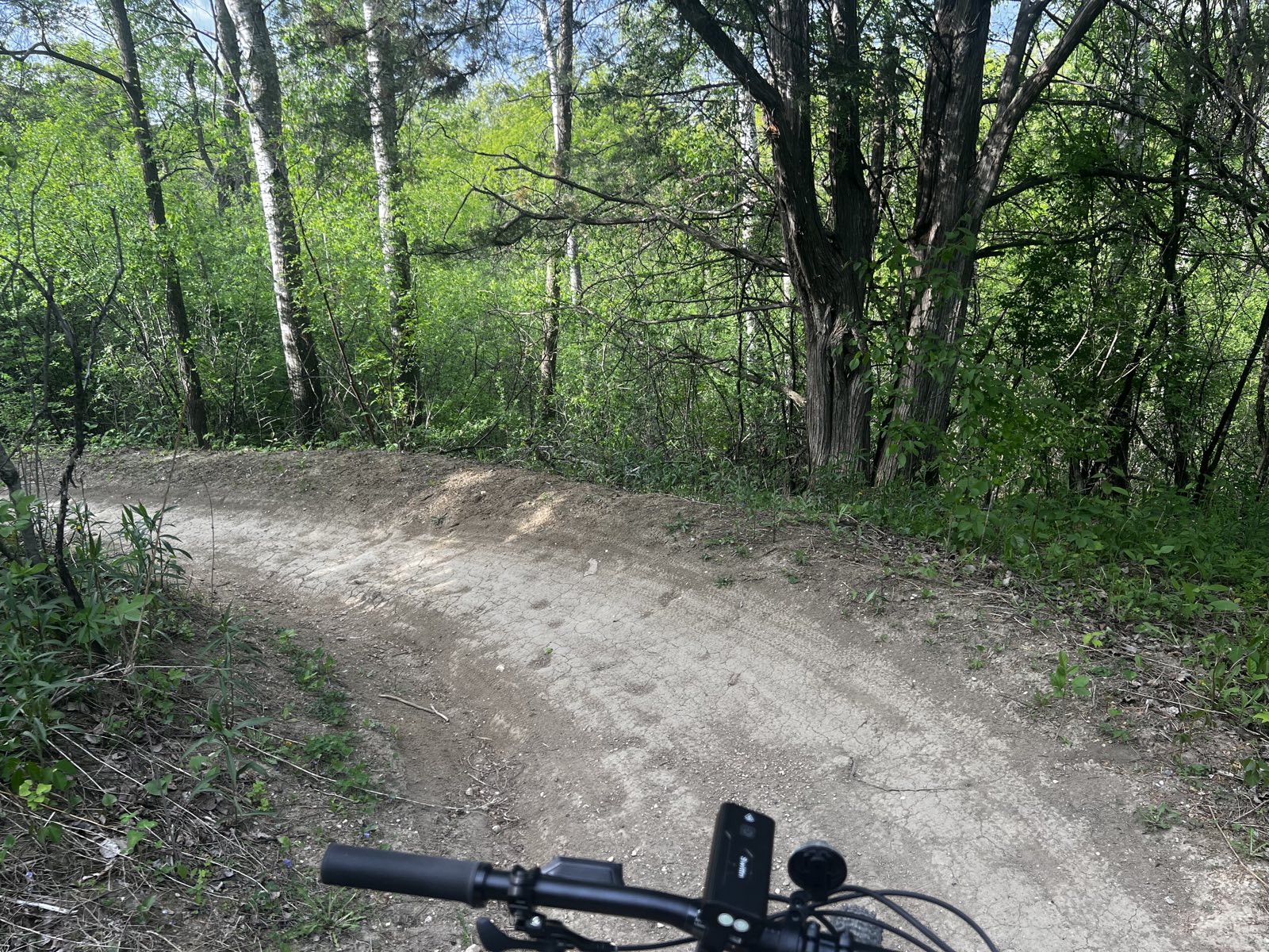 Elm Creek Singletrack Trail trail photo 4