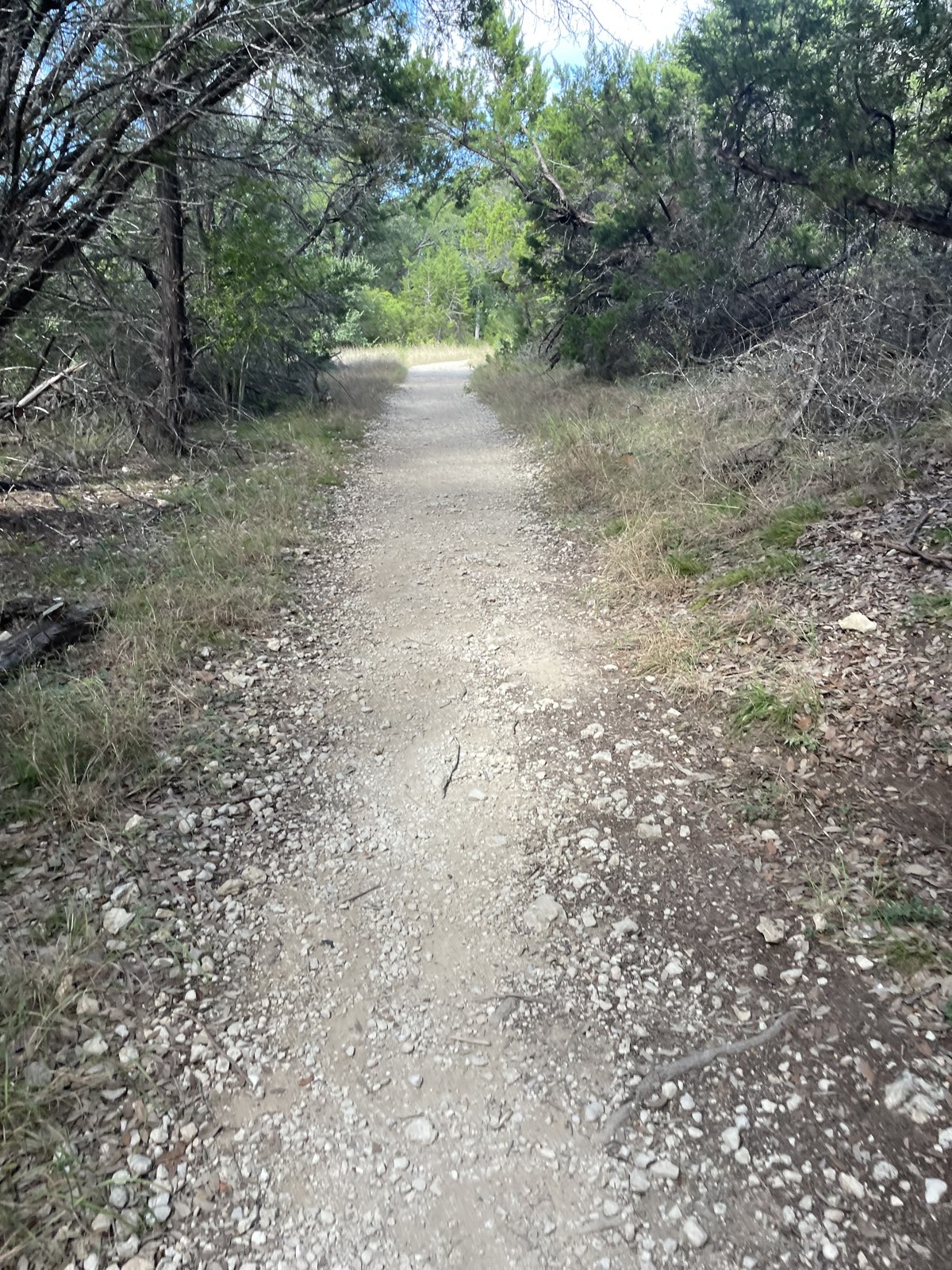 Spicewood Valley Trail trail photo 3