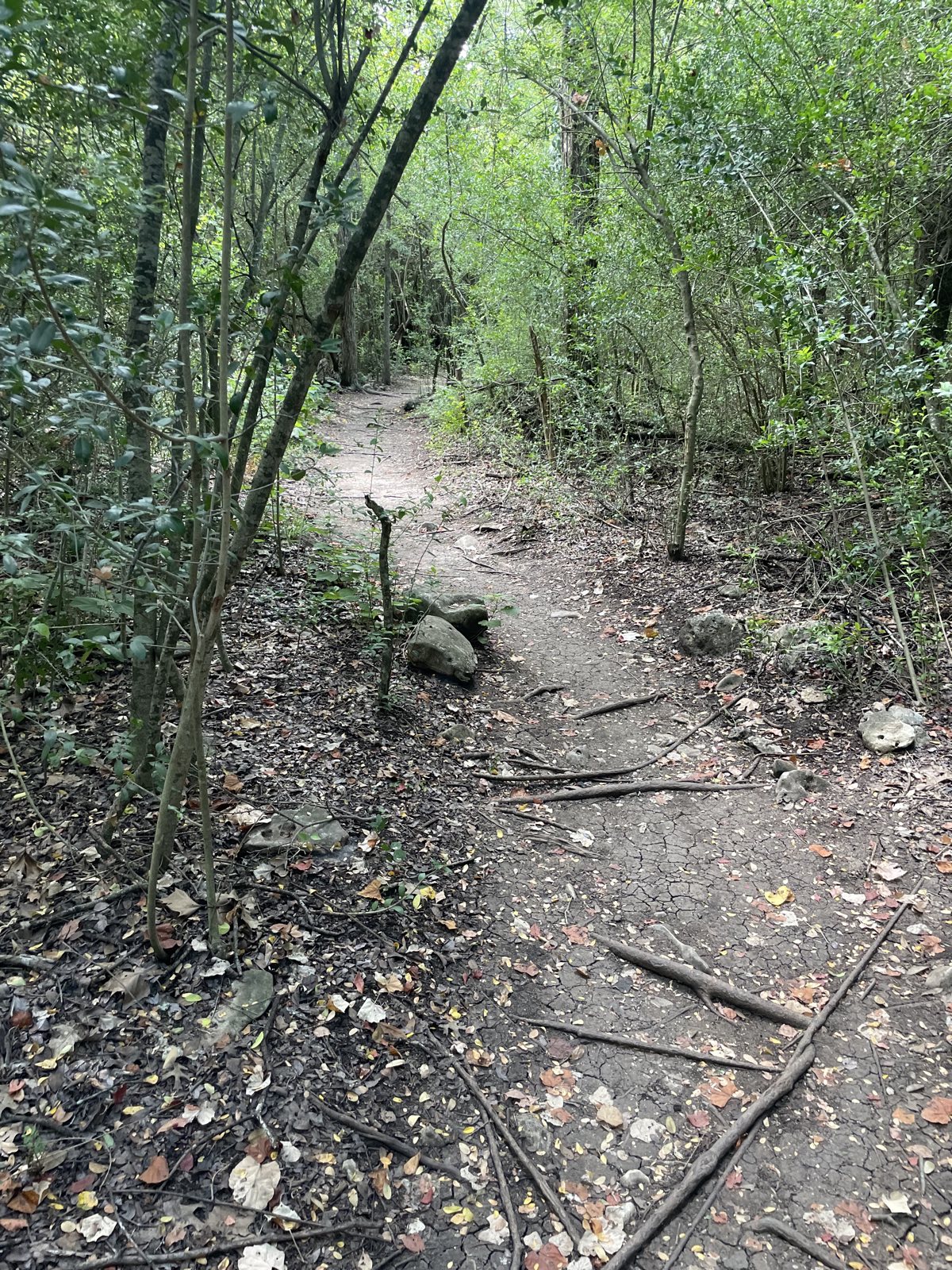 Spicewood Valley Trail trail photo 2