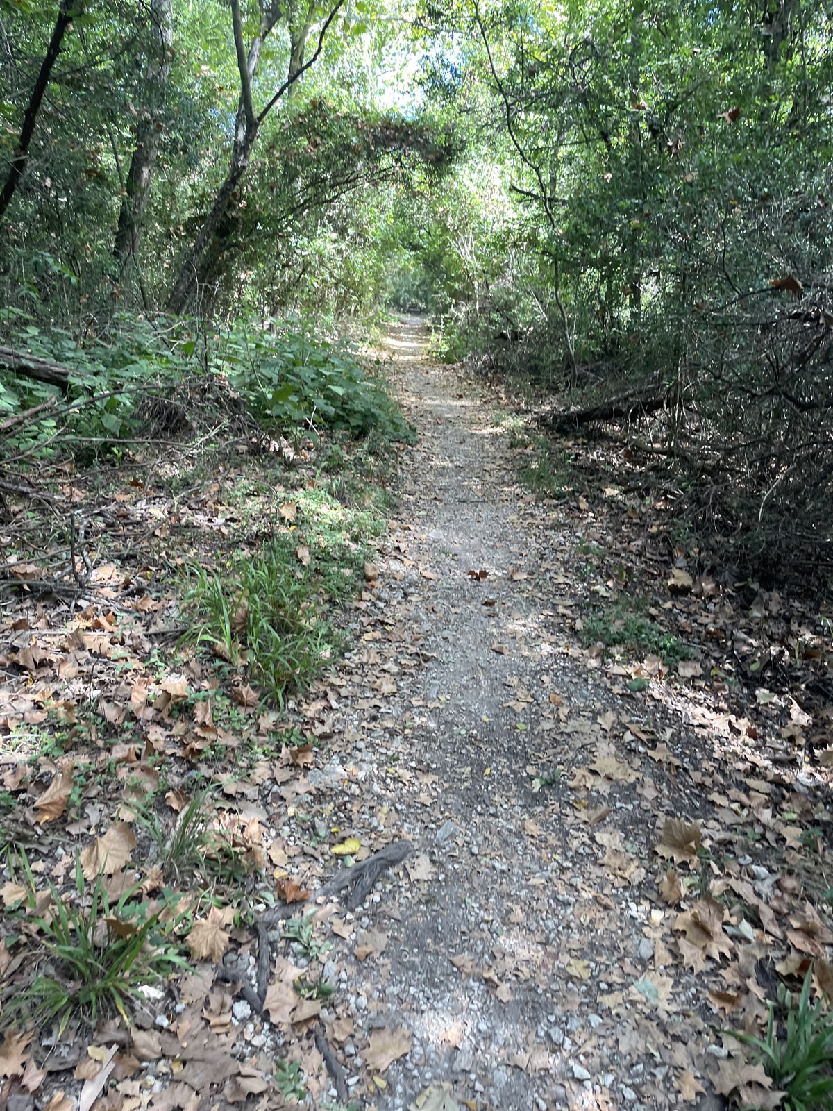 Spicewood Valley Trail trail photo 4