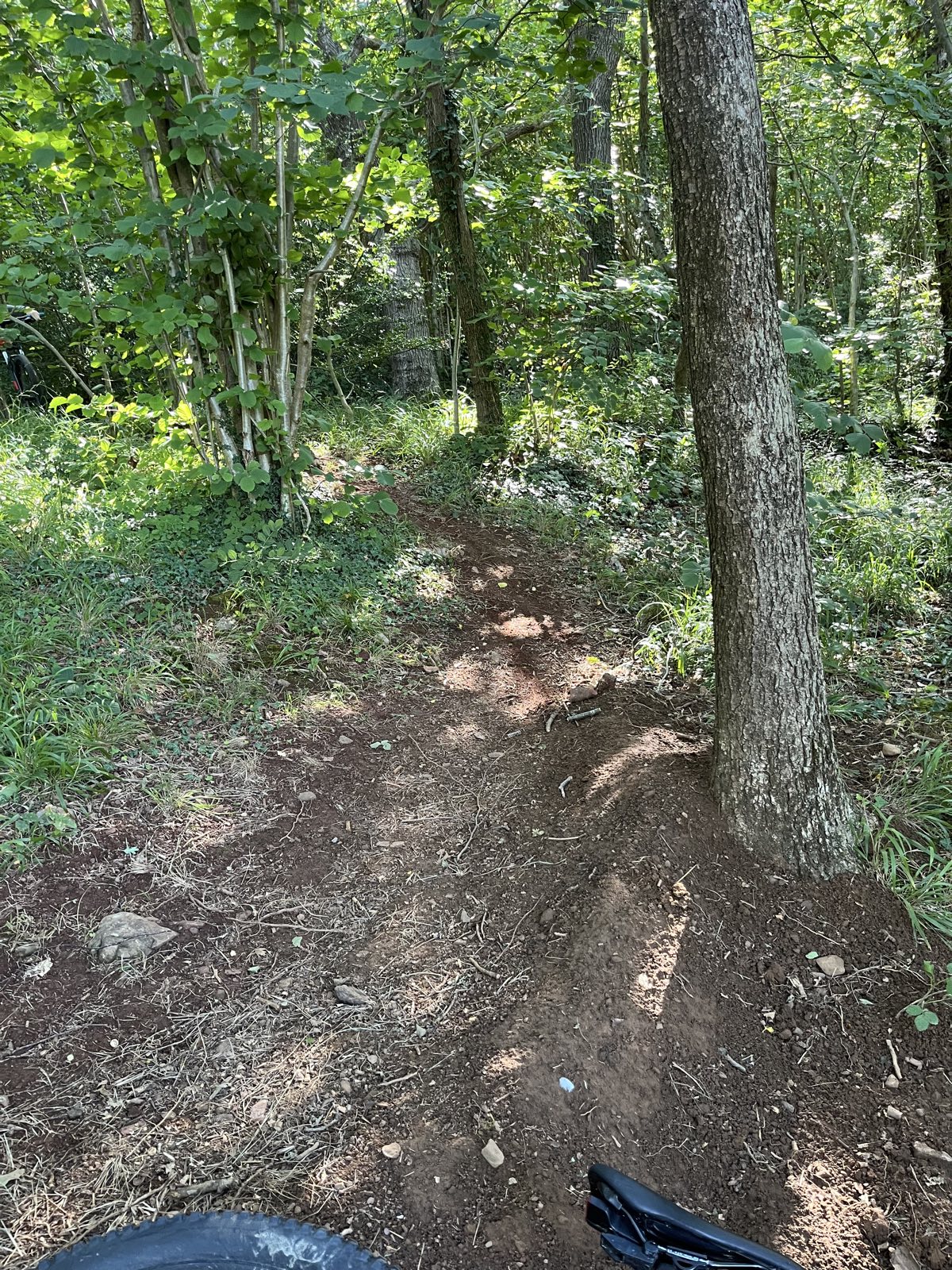 The Main Holgate Jumpline trail photo 2