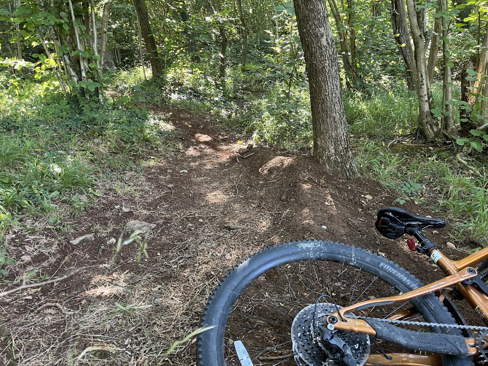 The Main Holgate Jumpline trail photo 3