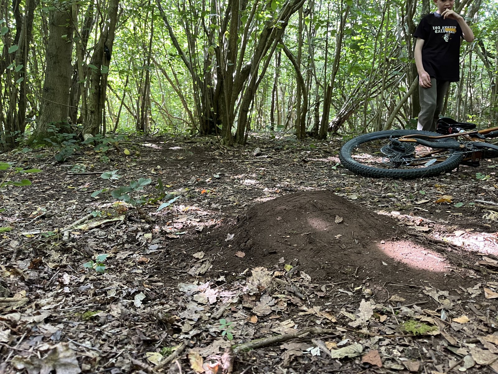 The Main Holgate Jumpline trail photo 4