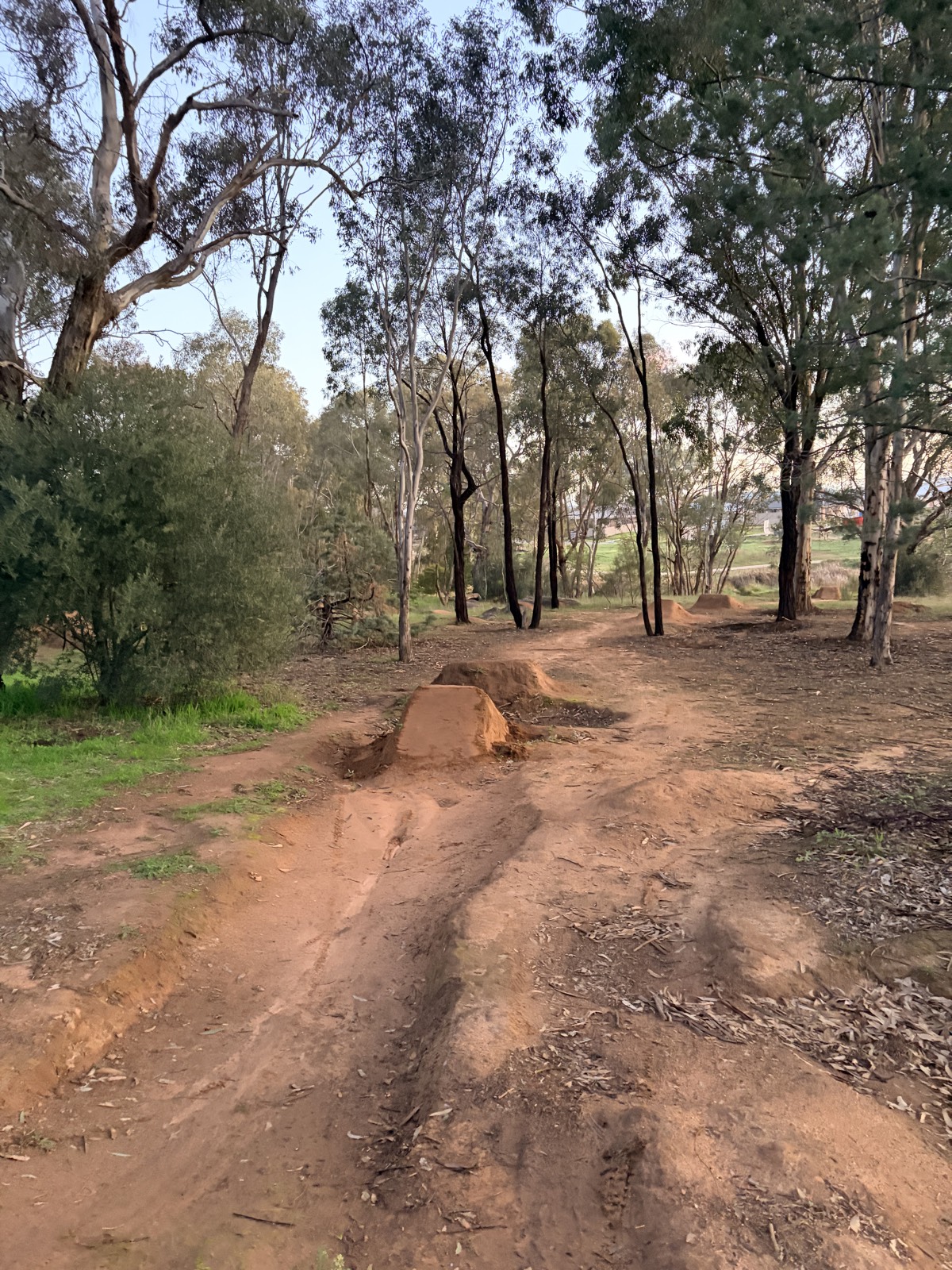 Boorooma jumps trail photo 3
