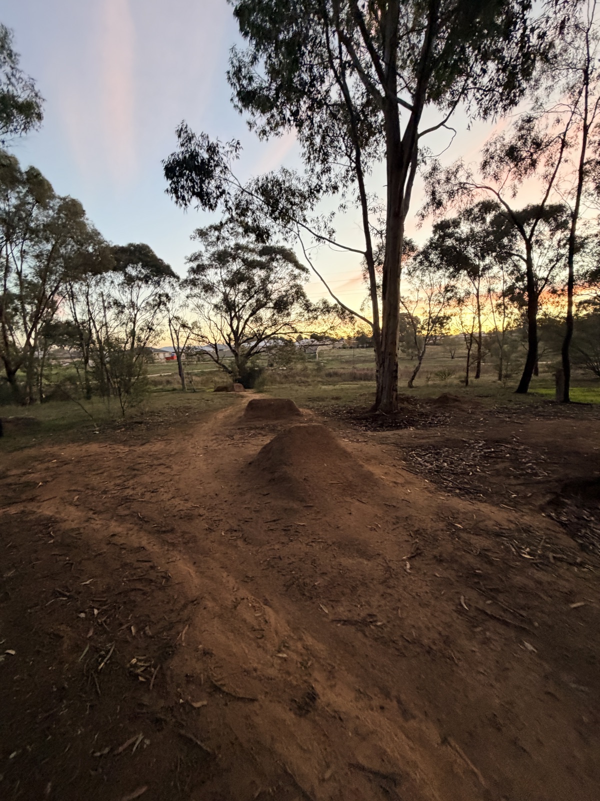 Boorooma jumps trail photo 4