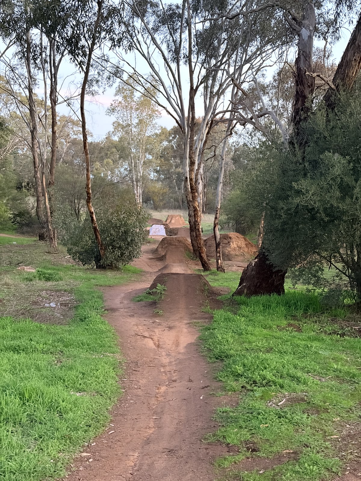 Boorooma jumps trail photo 2