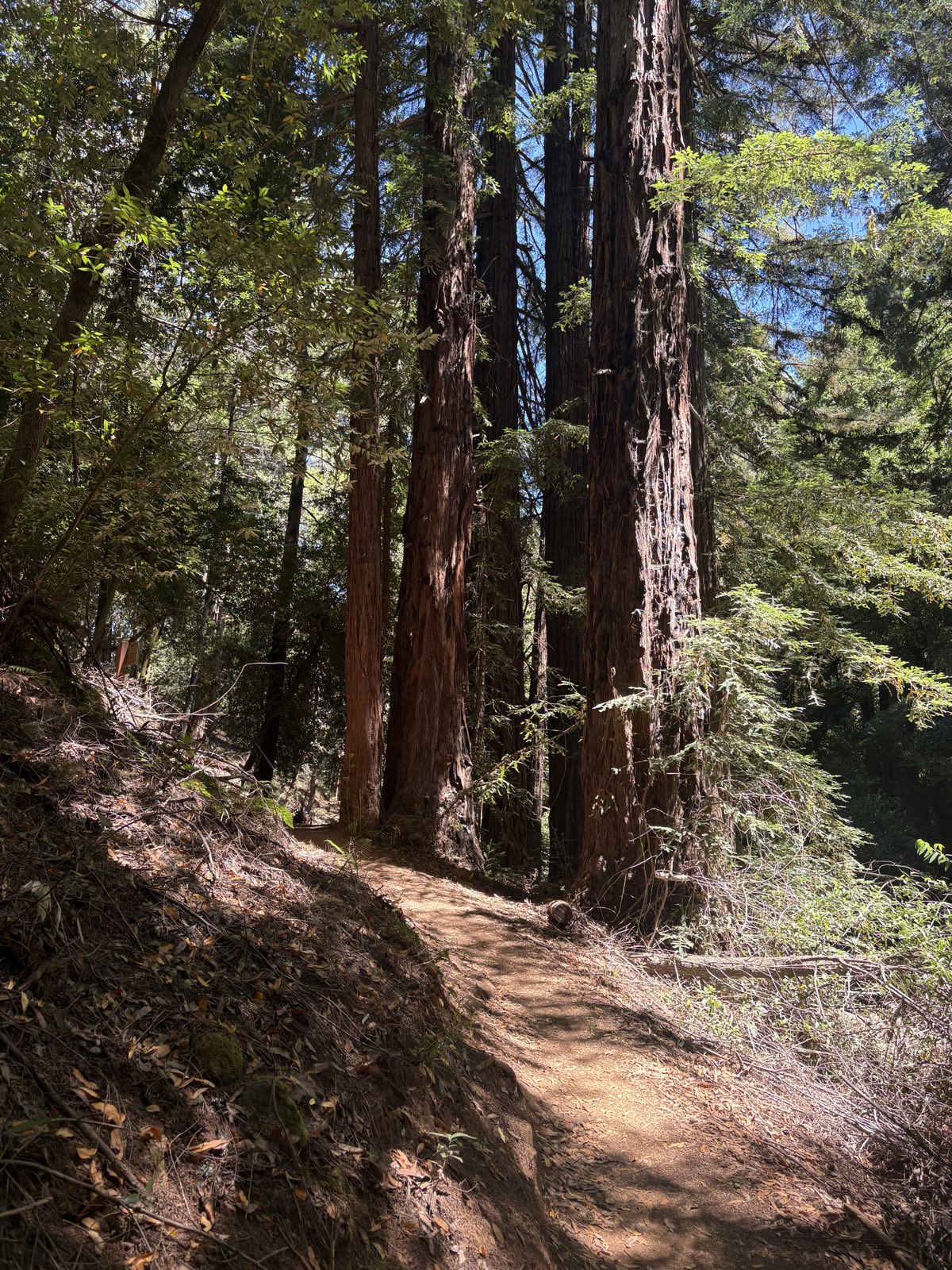 Broken Dam Trail trail photo 3