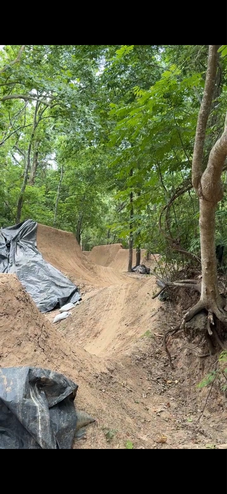 Anthills Trail/BMX trail photo 5