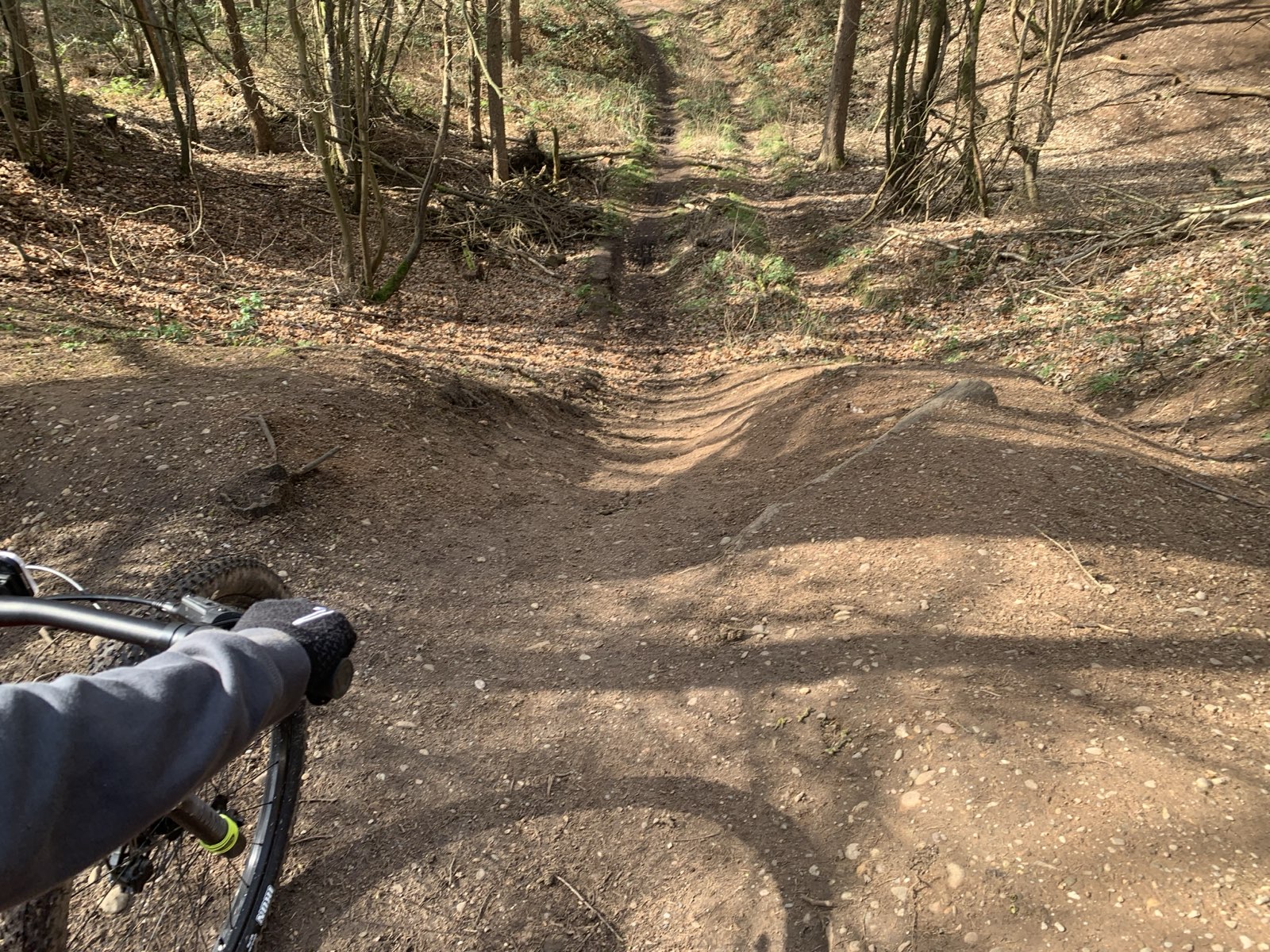 Whitemoor Trail trail photo 2