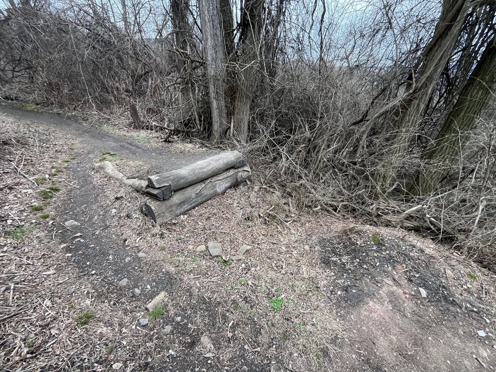 Redemption Center trail photo 4