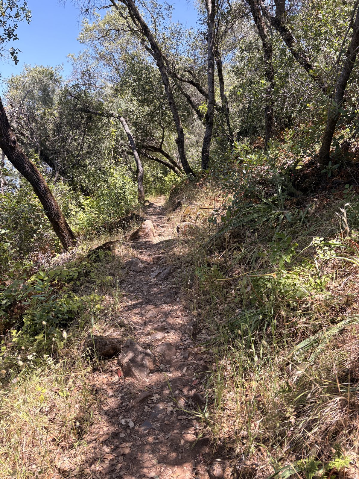 Sweetwater Trail trail photo 3