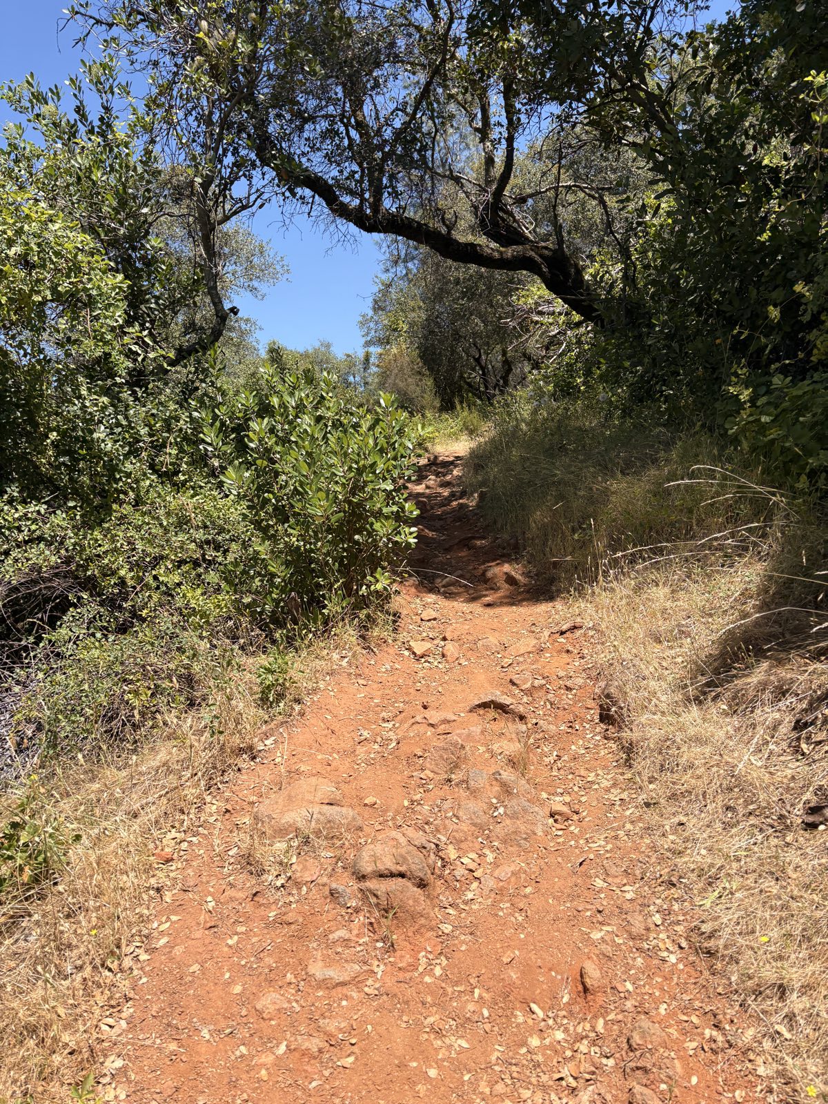 Sweetwater Trail trail photo 1