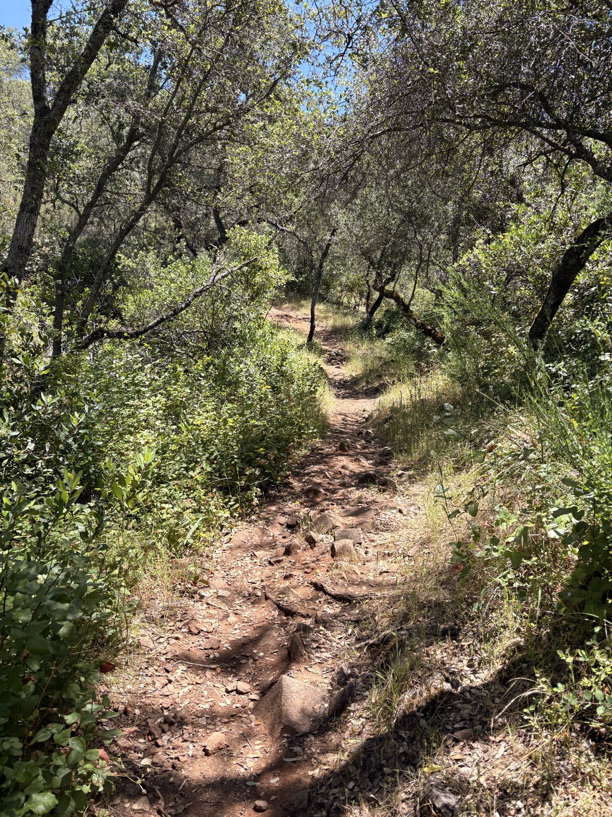 Sweetwater Trail trail photo 2