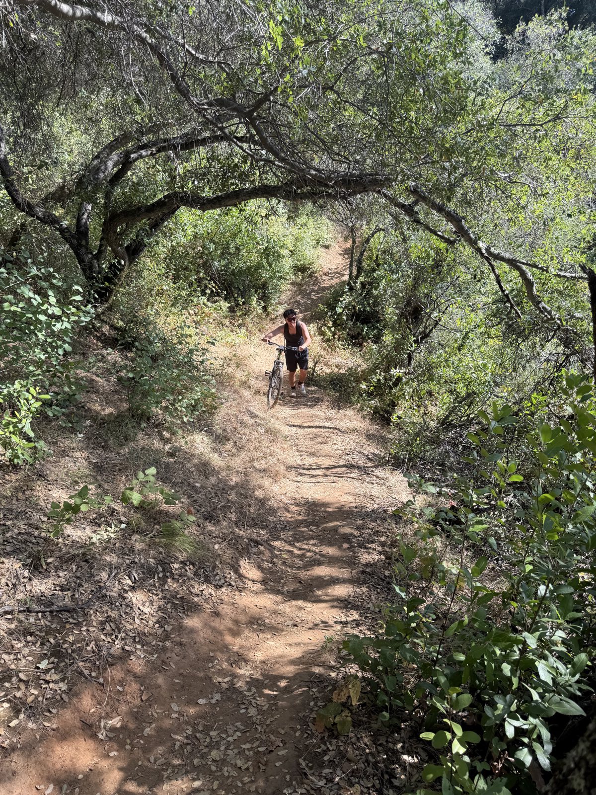 Sweetwater Trail trail photo 1