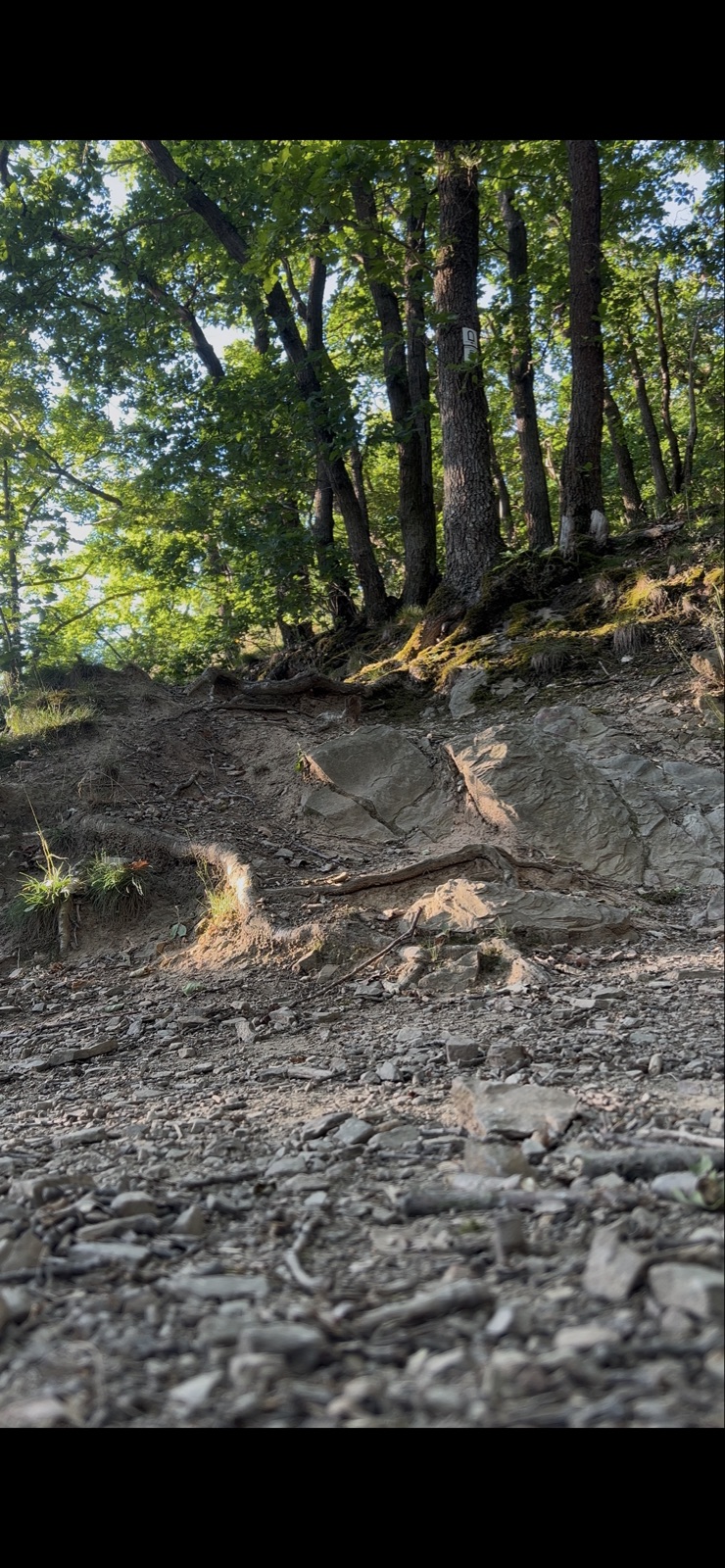 Unnamed Trail trail photo 1