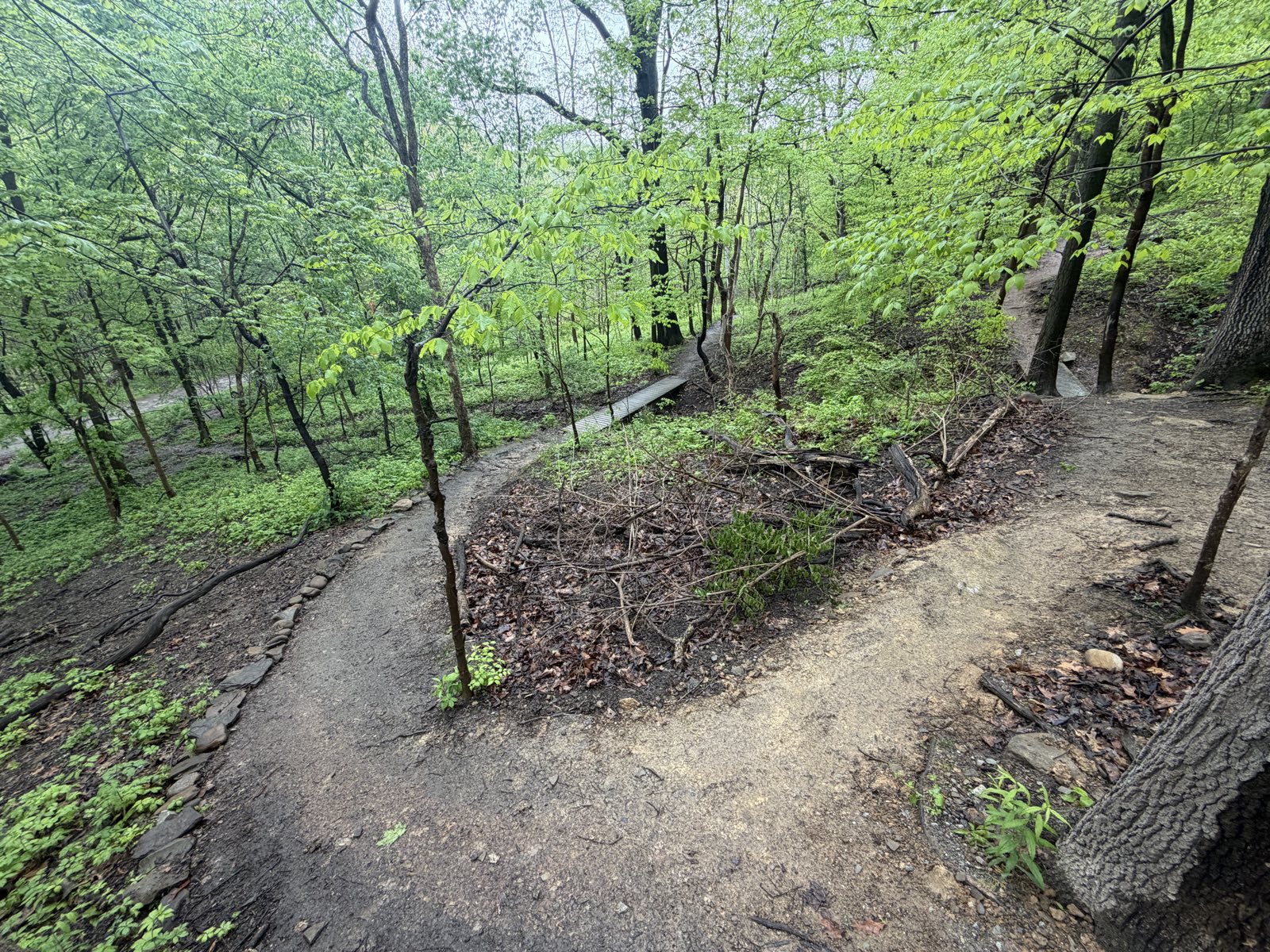 Dinky Bridge Trail trail photo 2