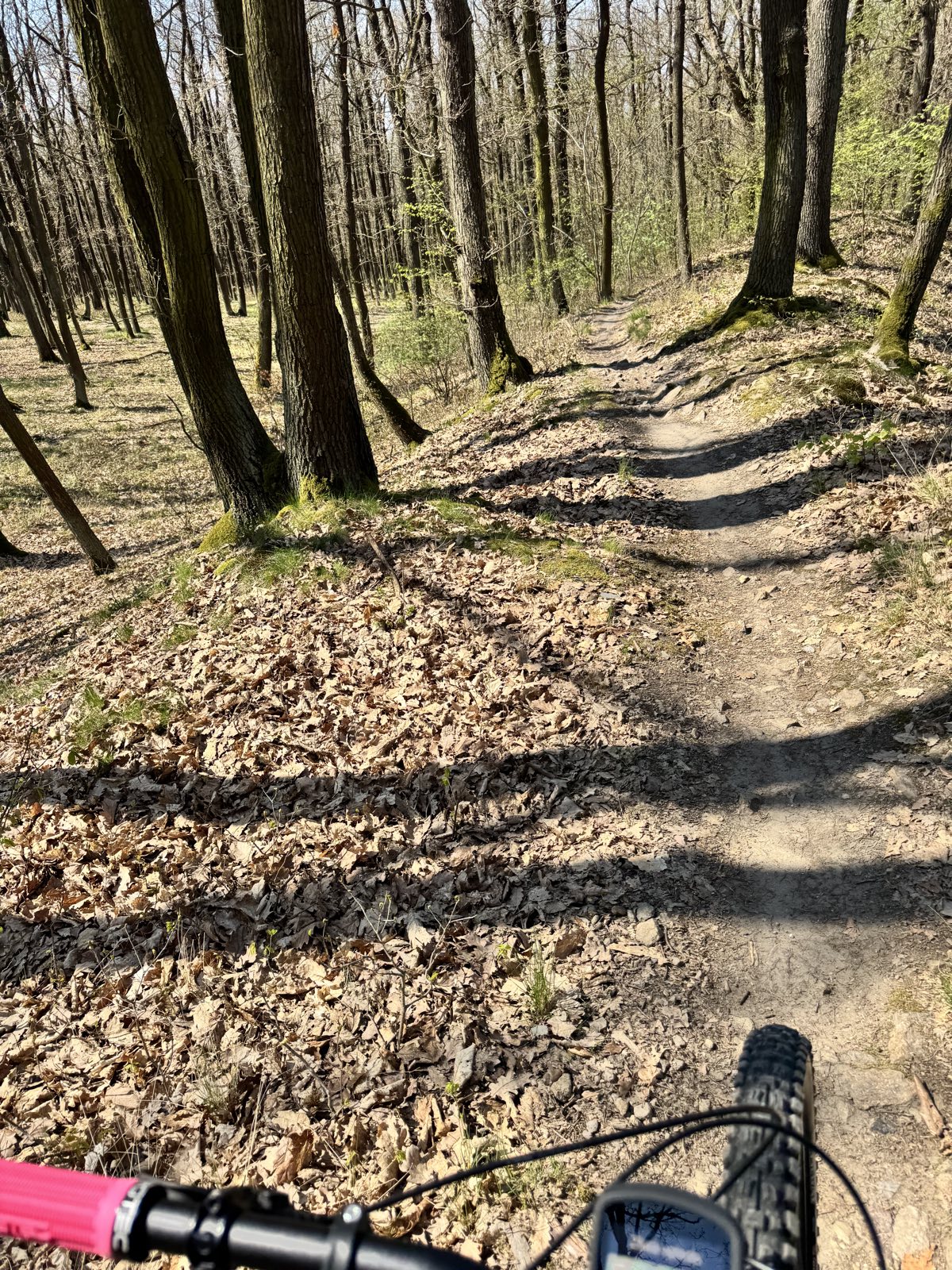 Hočimin trail photo 1