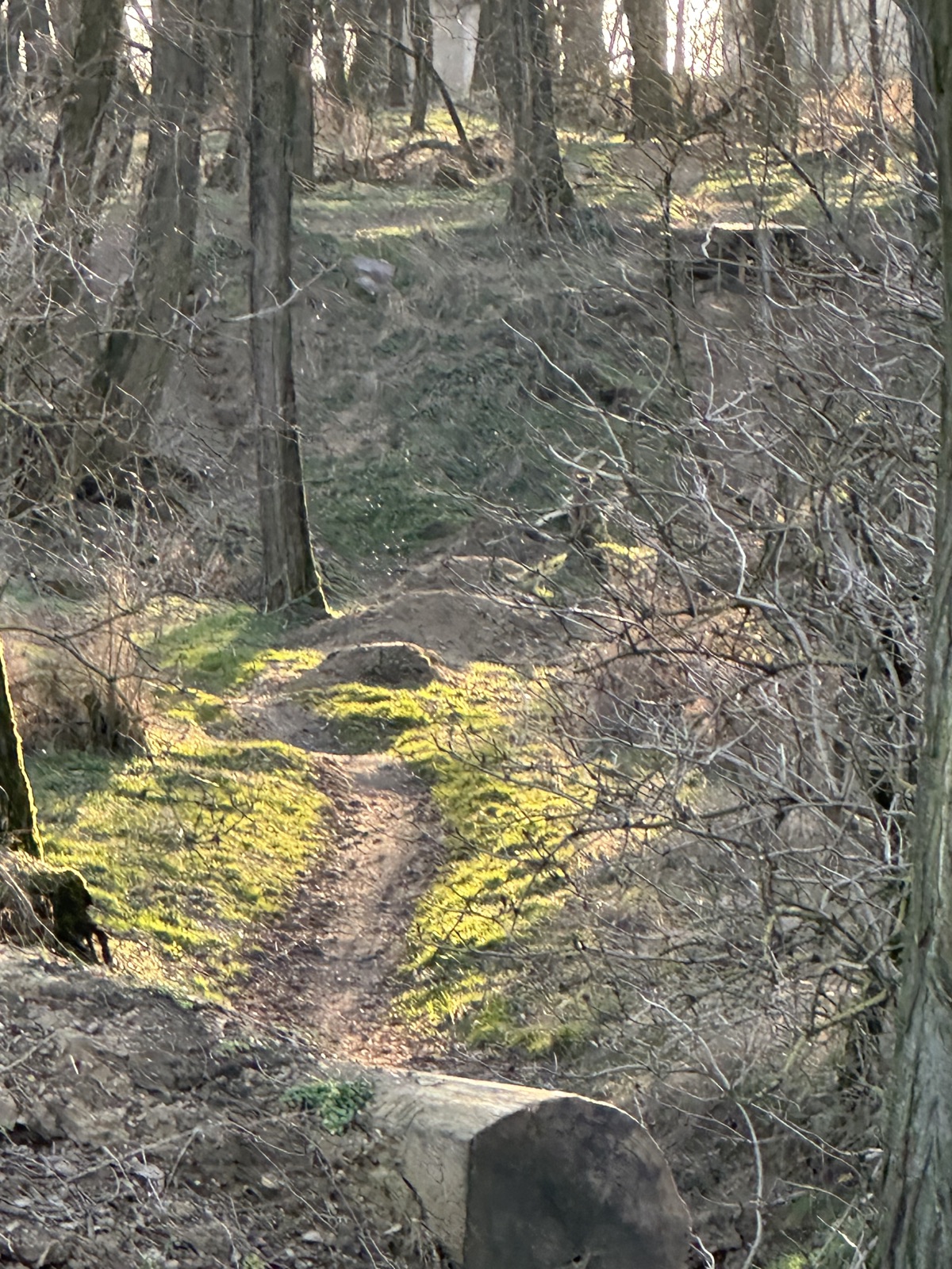 Koválov trails trail photo 1