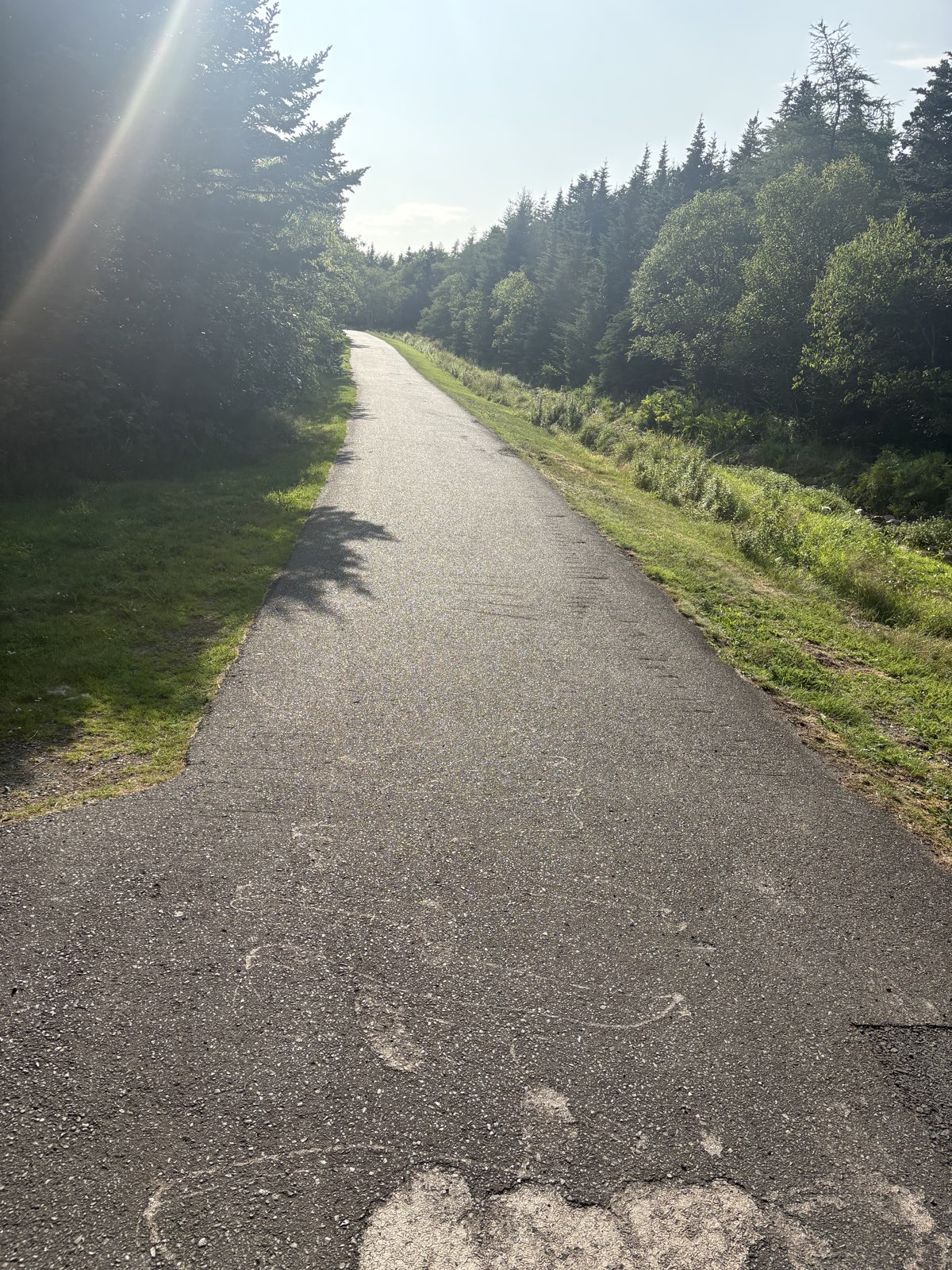 Arboretum Walk trail photo 5