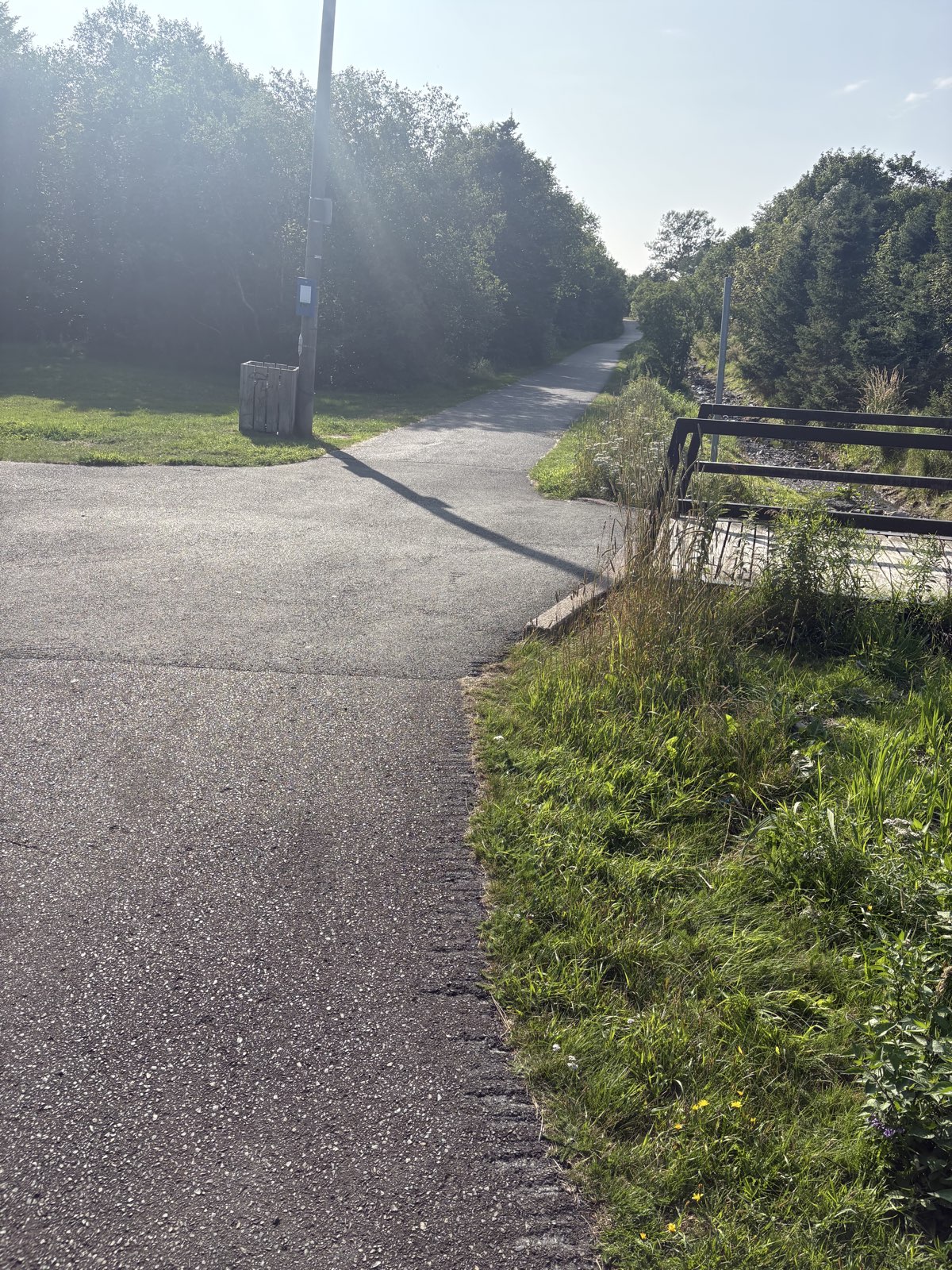 Arboretum Walk trail photo 4