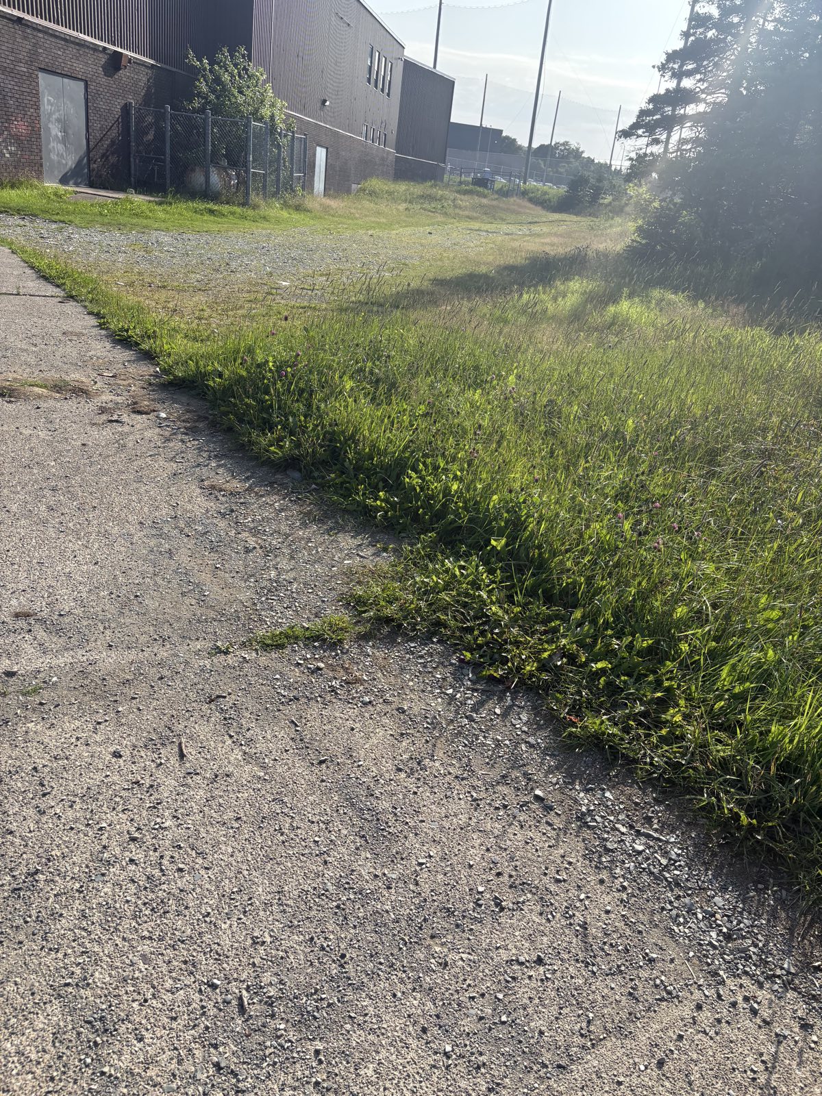 Arboretum Walk trail photo 3