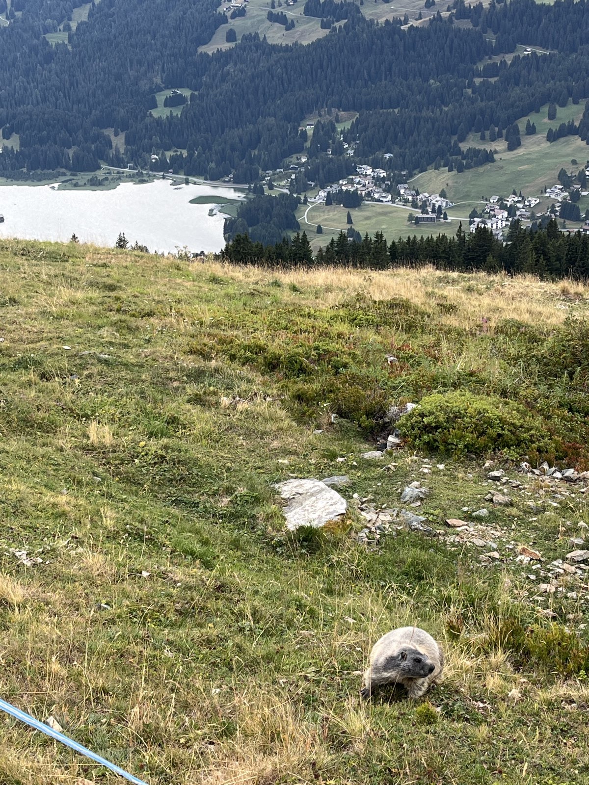 The great white trail photo 2