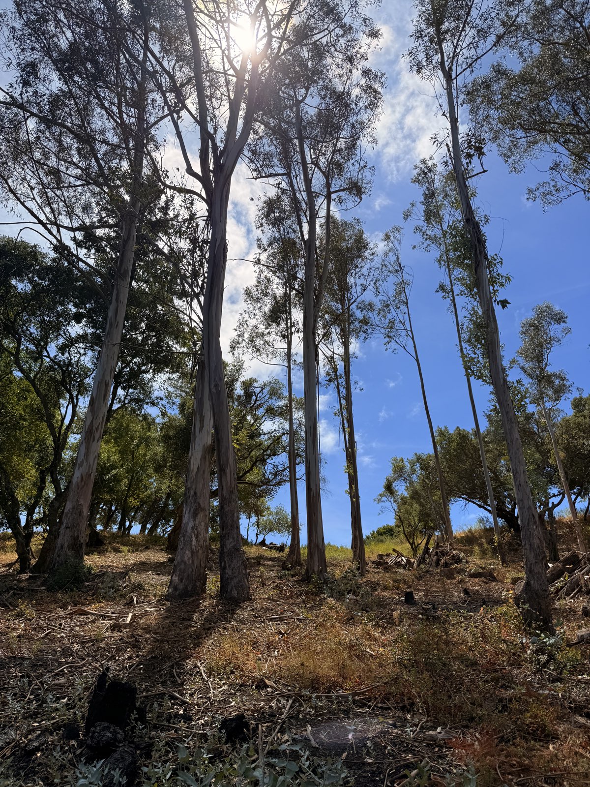 Goldman Trail trail photo 1
