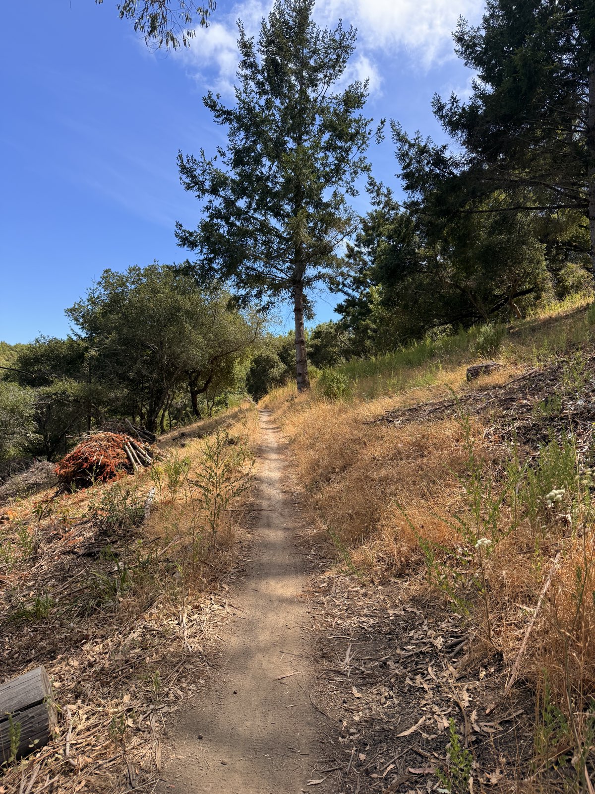 Goldman Trail trail photo 2