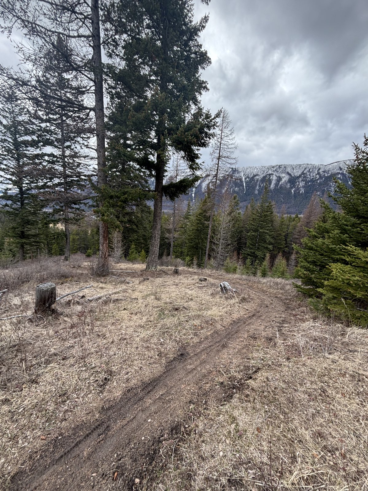 Lunch Loop trail photo 1