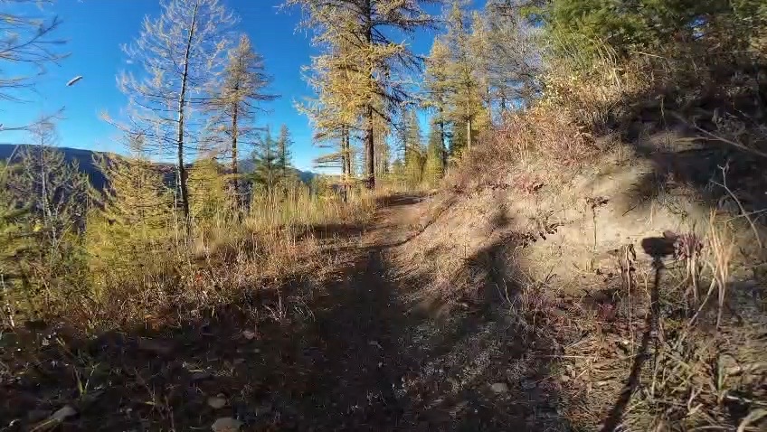Lunch Loop trail photo 3