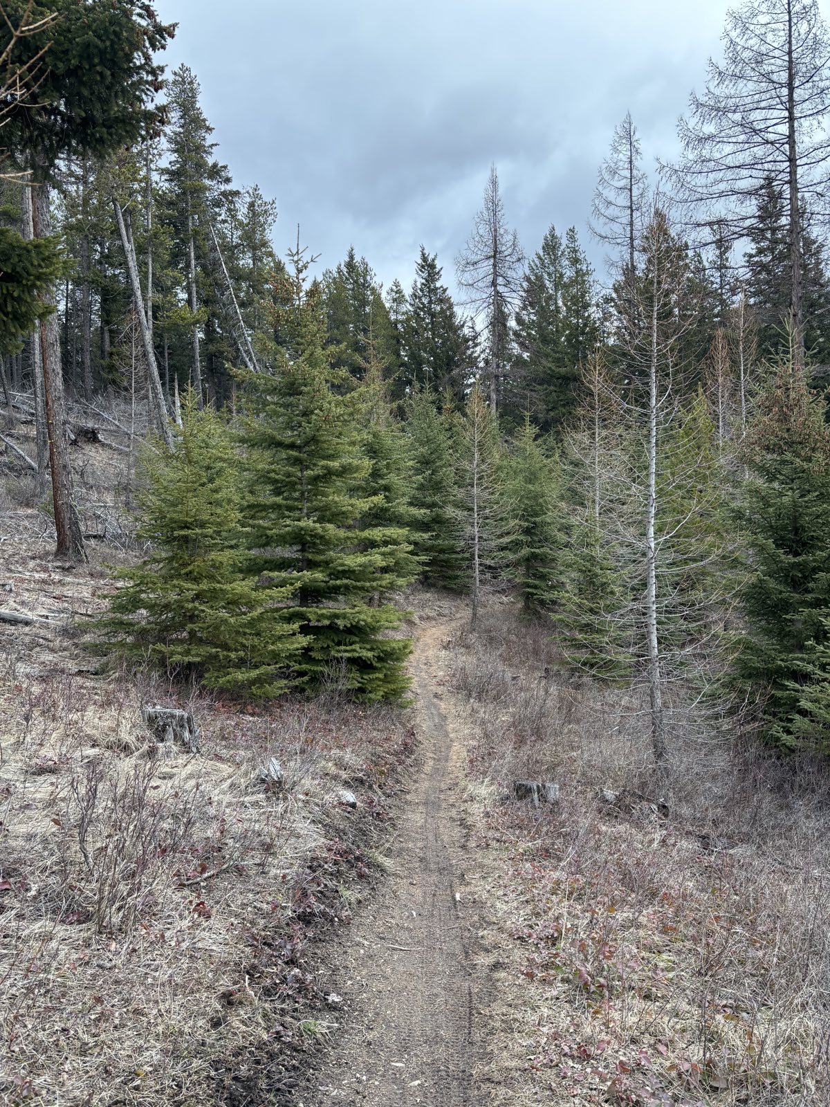 Lunch Loop trail photo 2